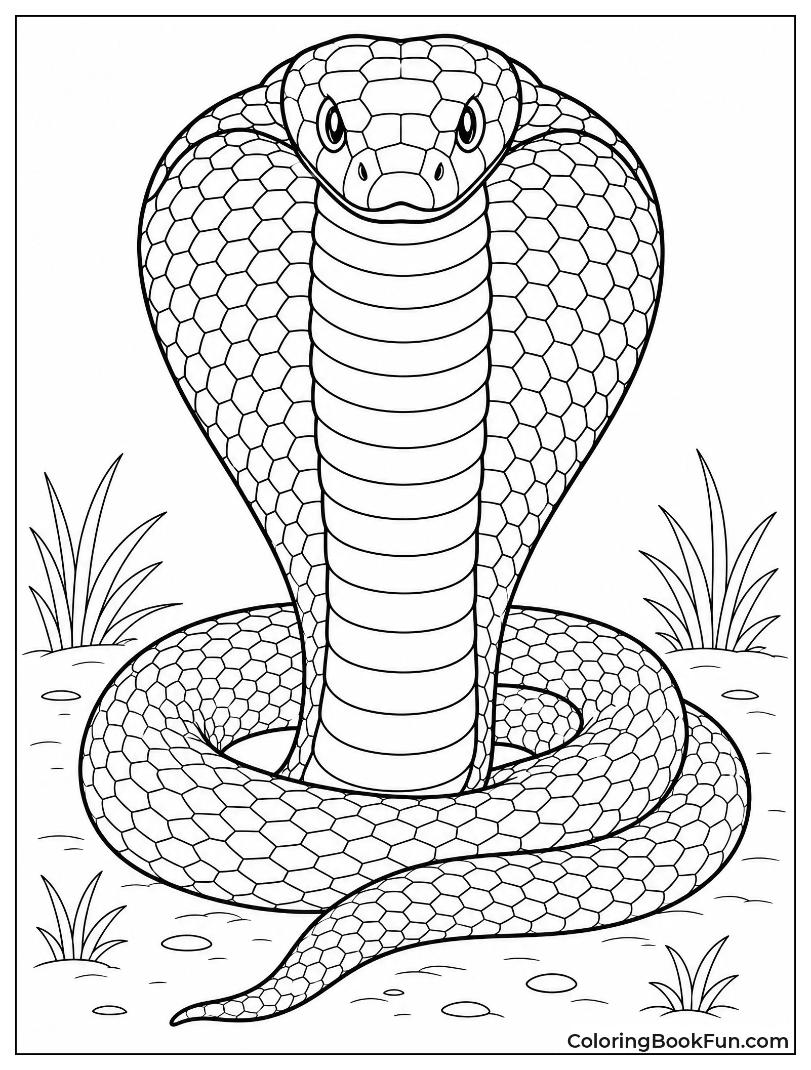 King Cobra Flares Its Hood