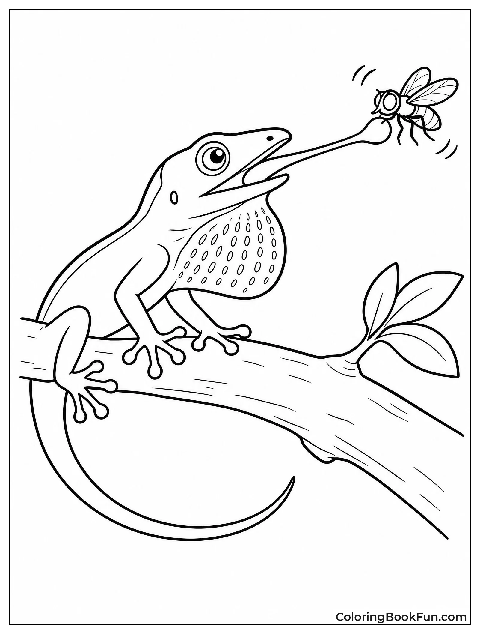 Lizard Catches Fly With Tongue