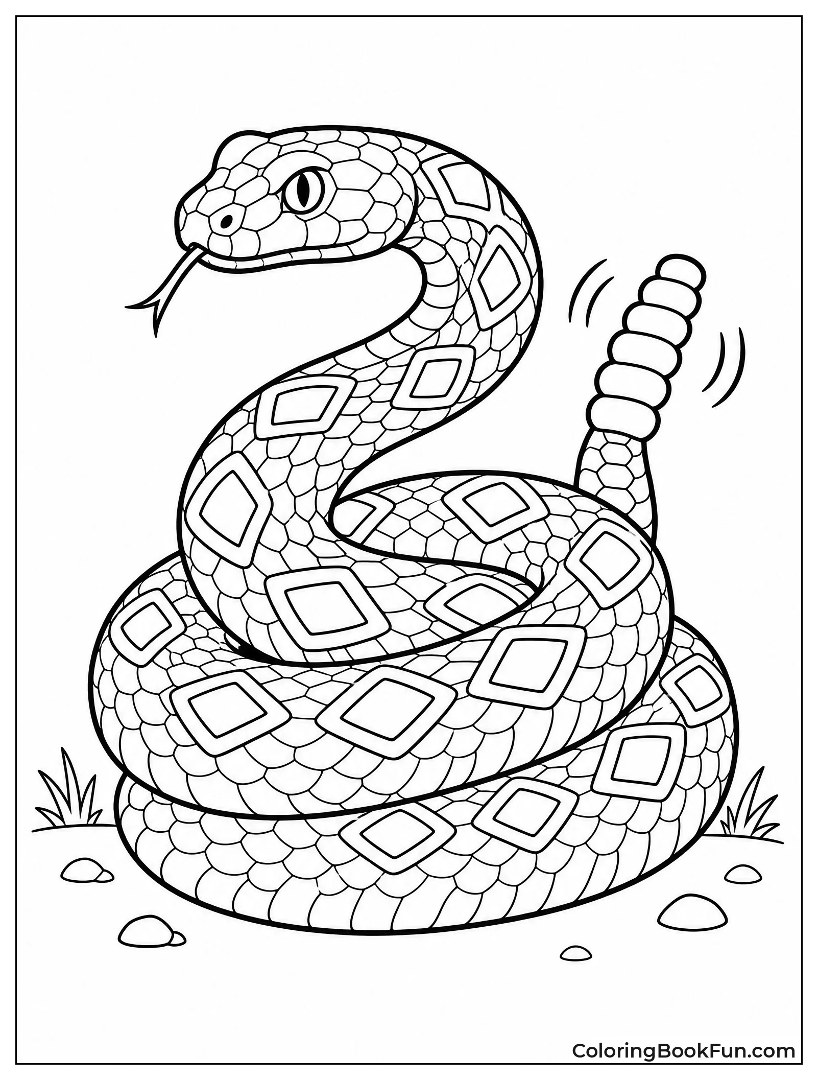 Rattlesnake Coils Up In Defense