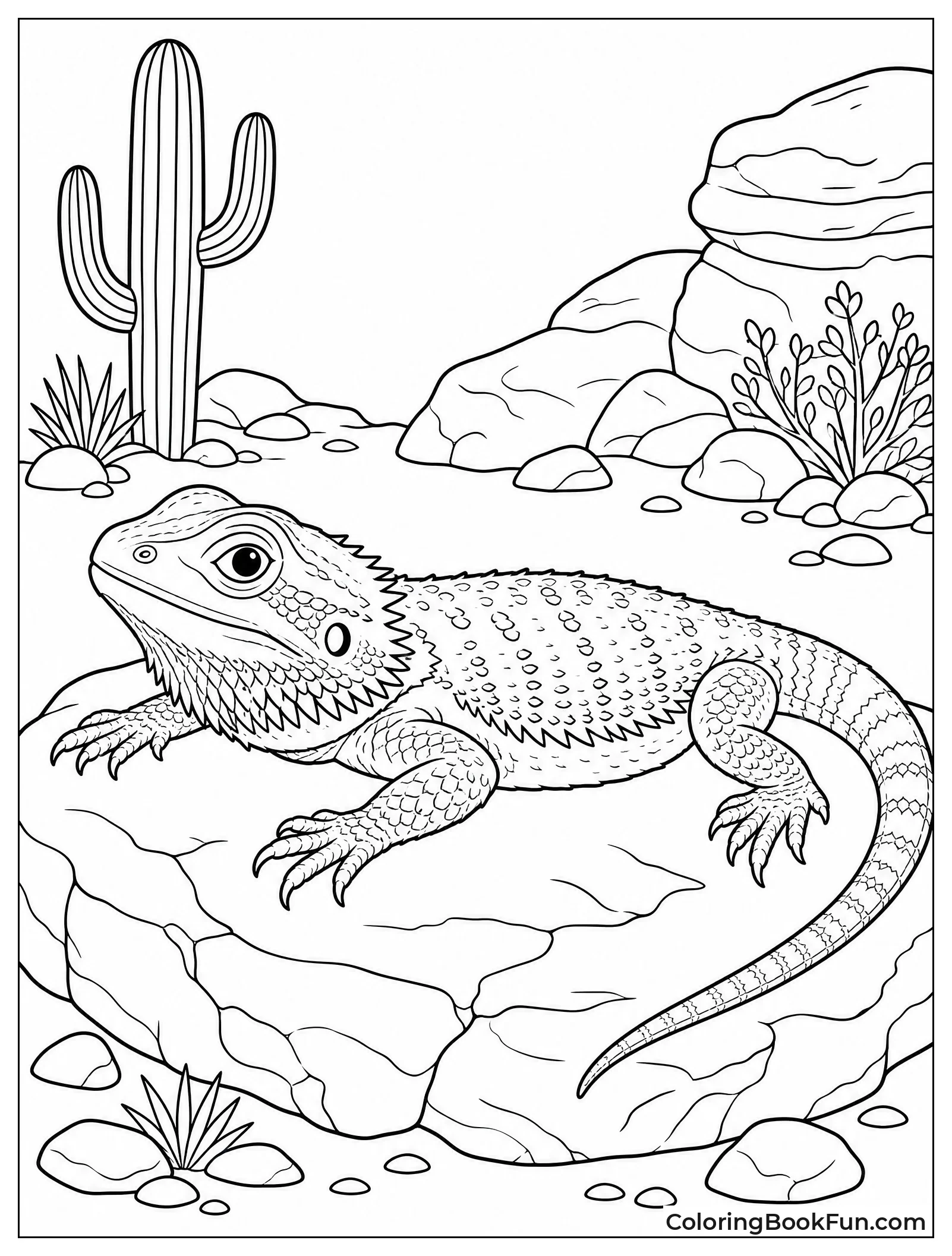 Lizard Basks On Warm Rock