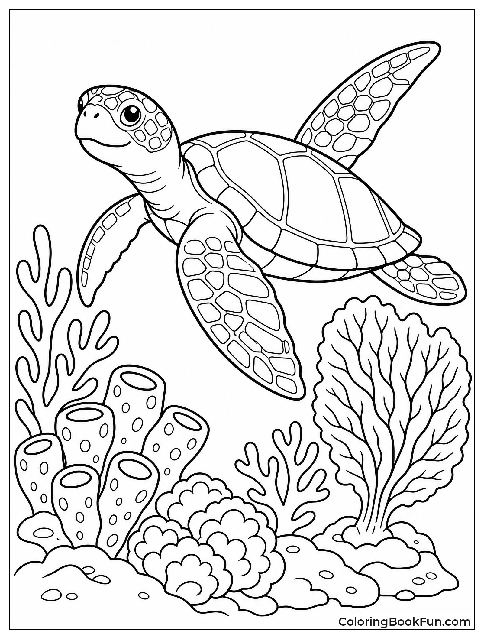 Sea Turtle Swims By Coral