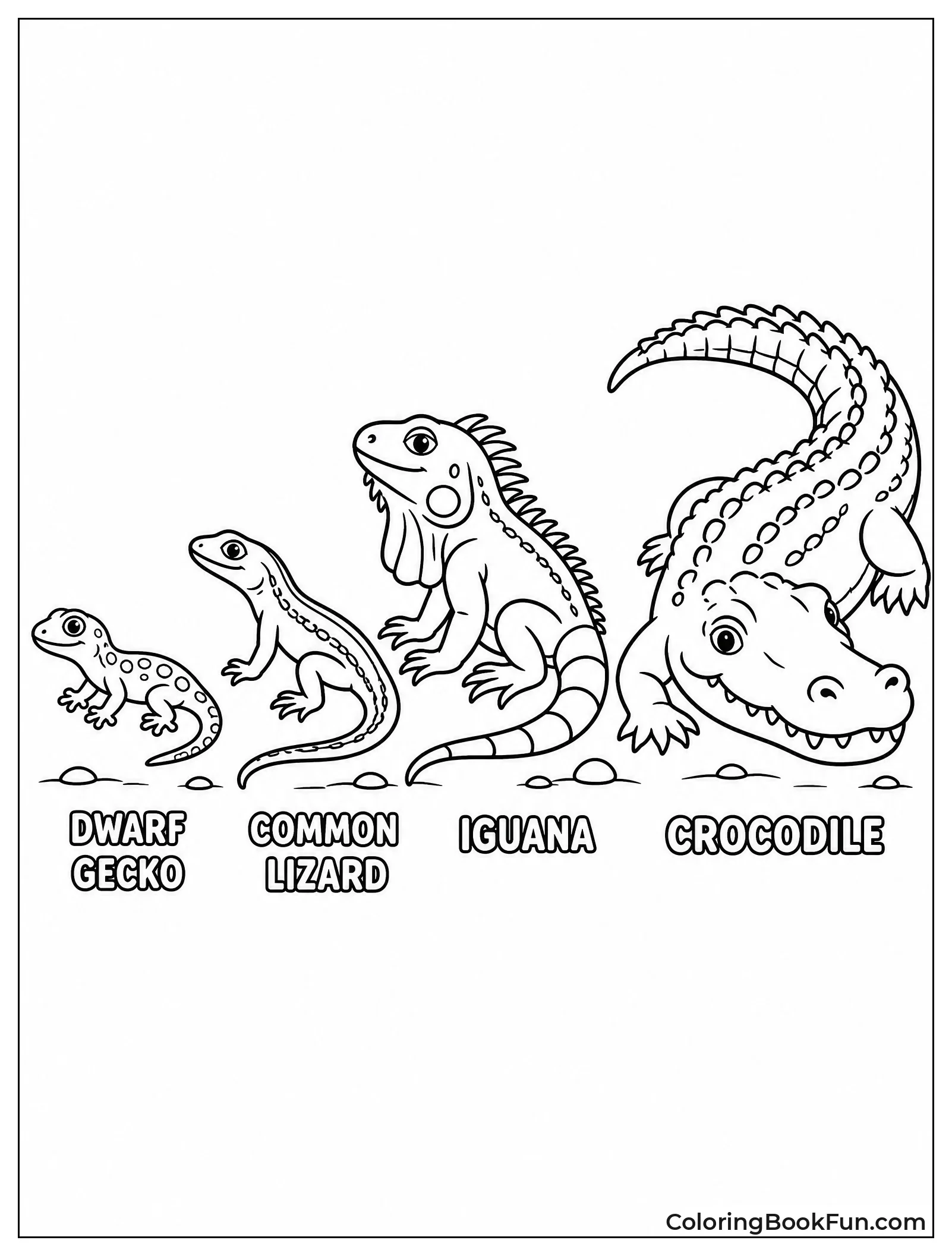 Reptiles Line Up By Size