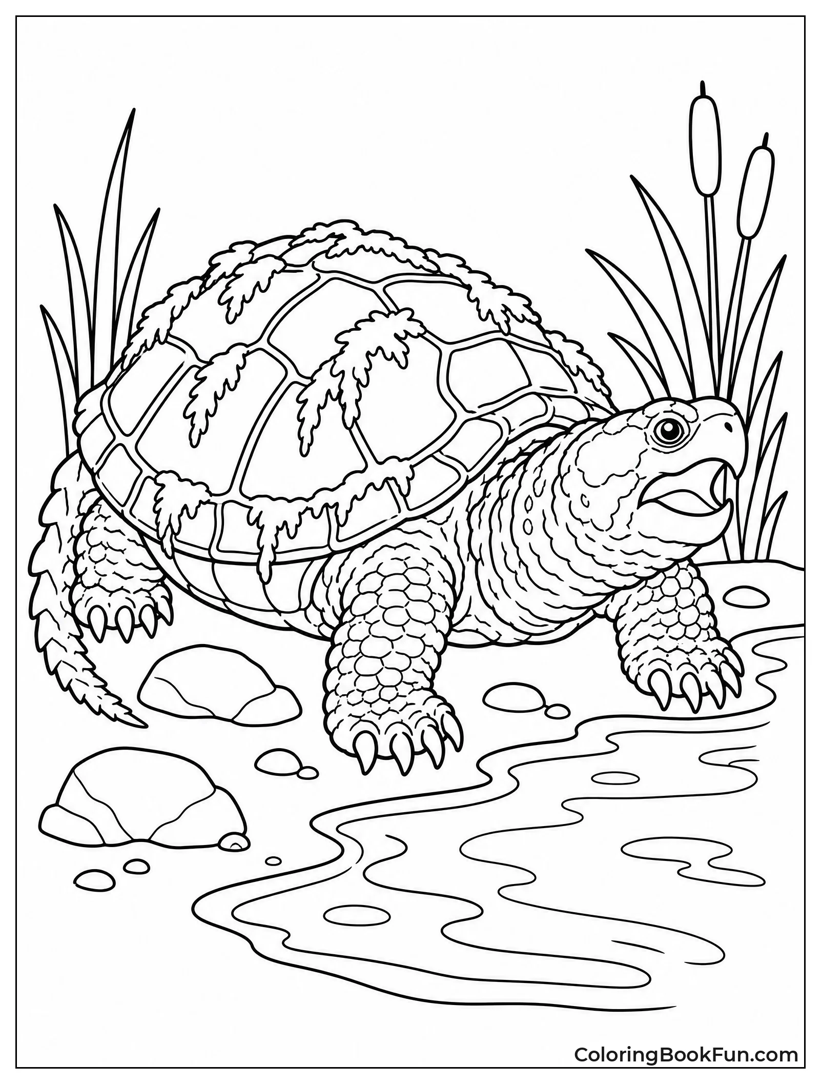 Snapping Turtle Sits By Pond