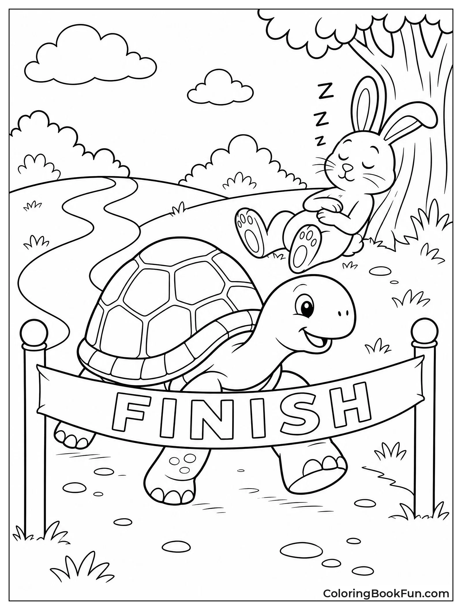 Tortoise Wins The Race