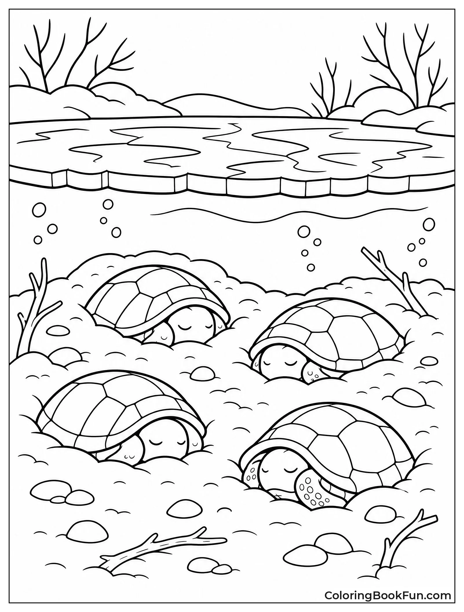Turtles Sleep Under Ice
