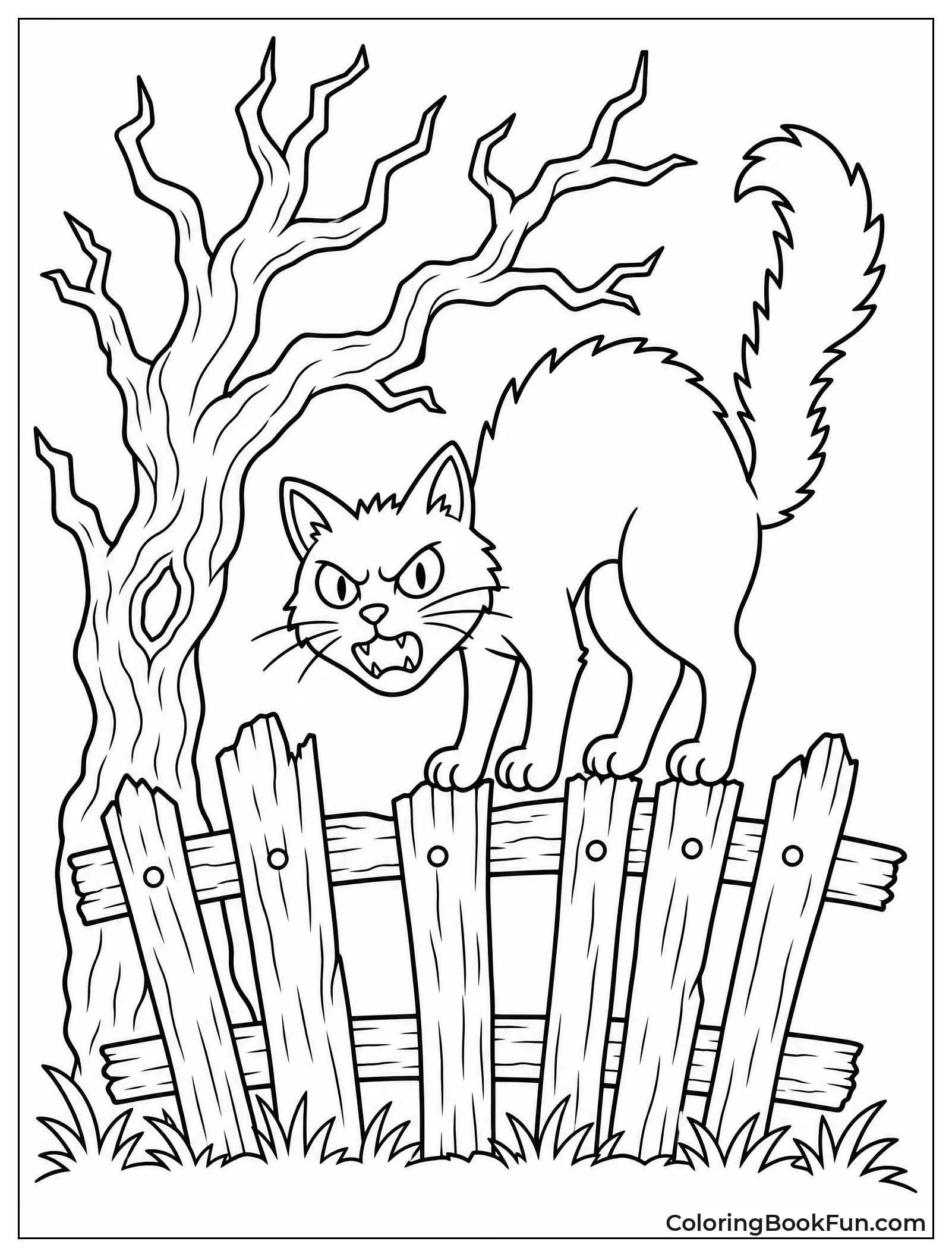Black Cat on Wooden Fence