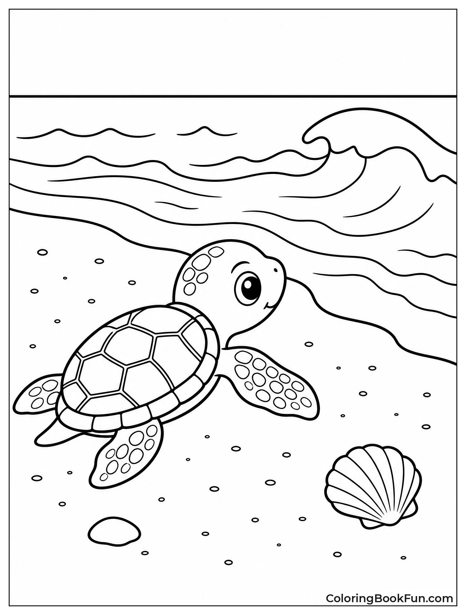 Baby Turtle Heading to Ocean