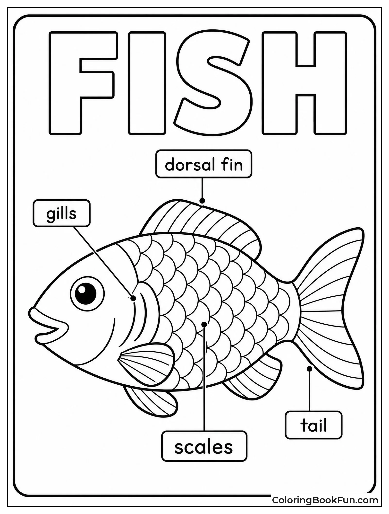 Fish Anatomy Diagram for Coloring