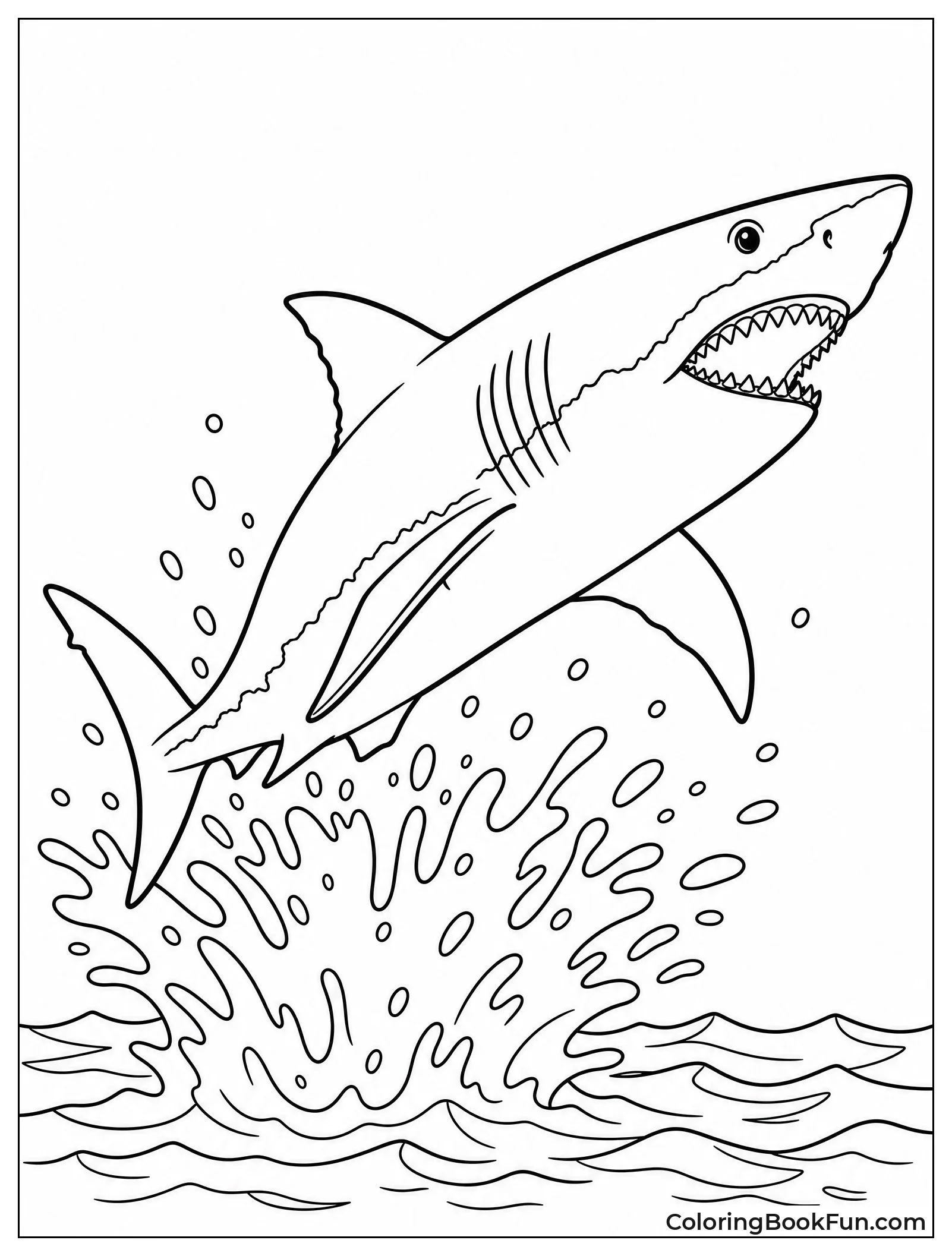 Great White Shark Leaping Up