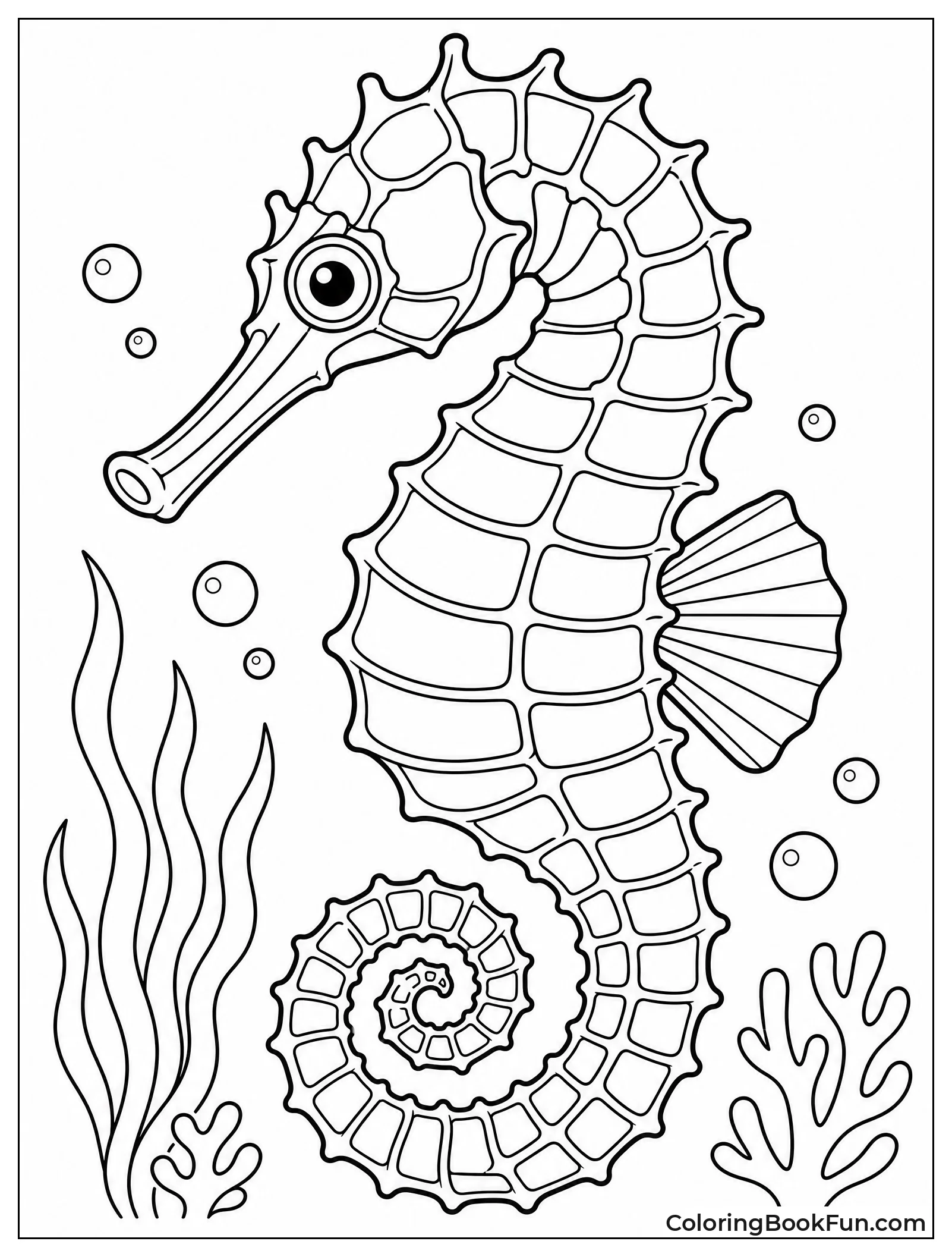 Seahorse Showing Its Curled Tail