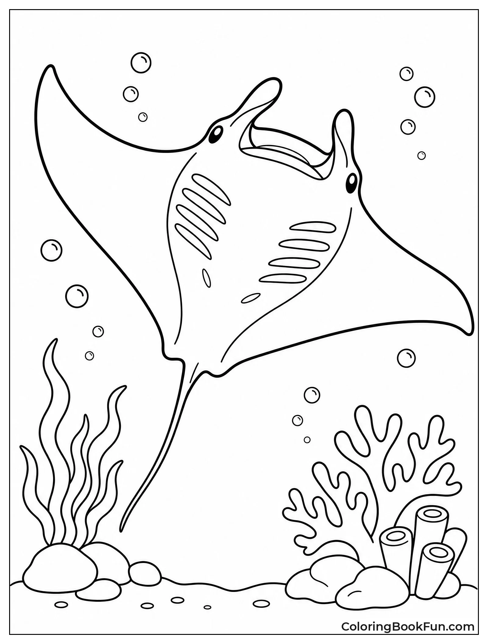 Manta Ray Gliding Underwater