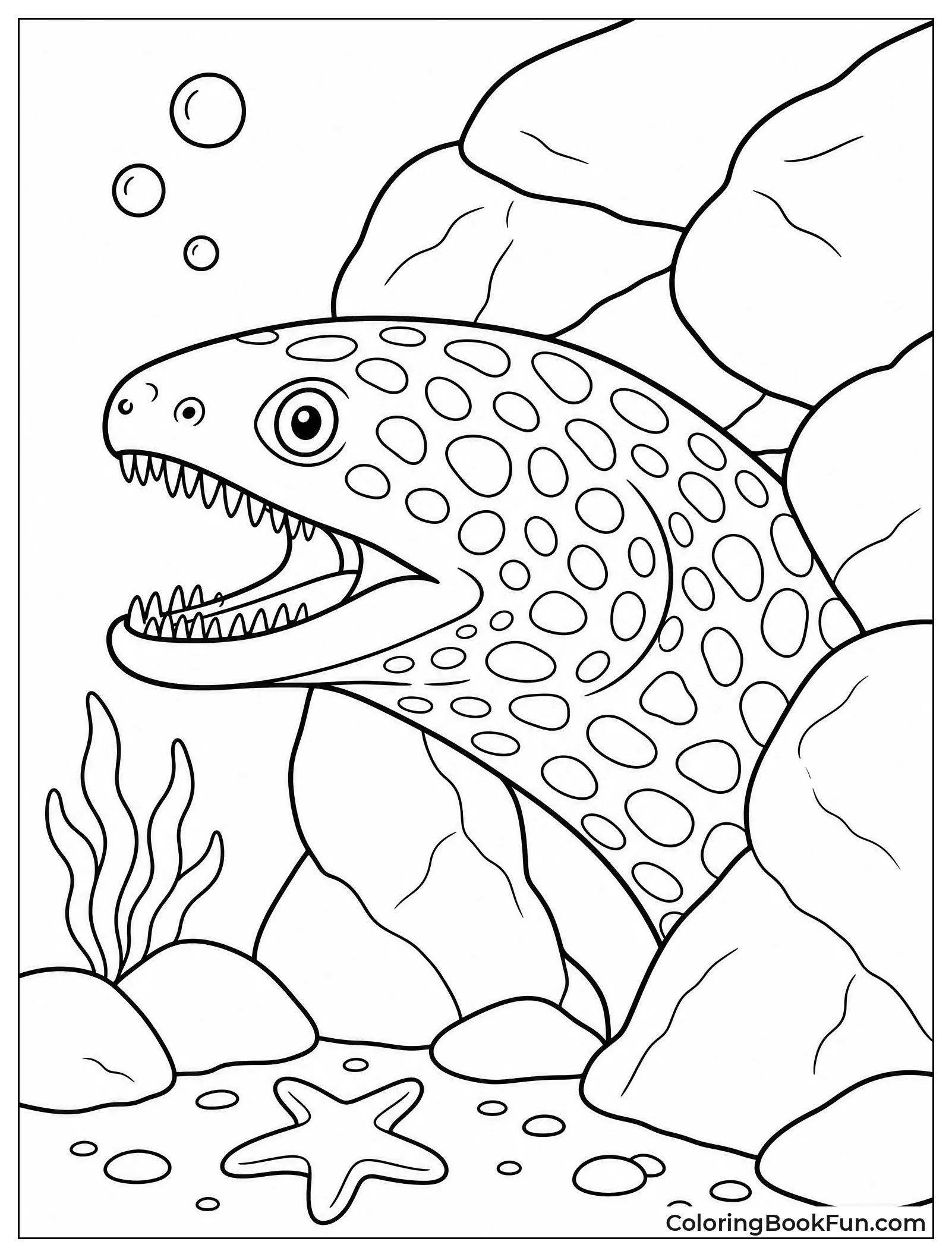 Moray Eel Hiding in Rocks