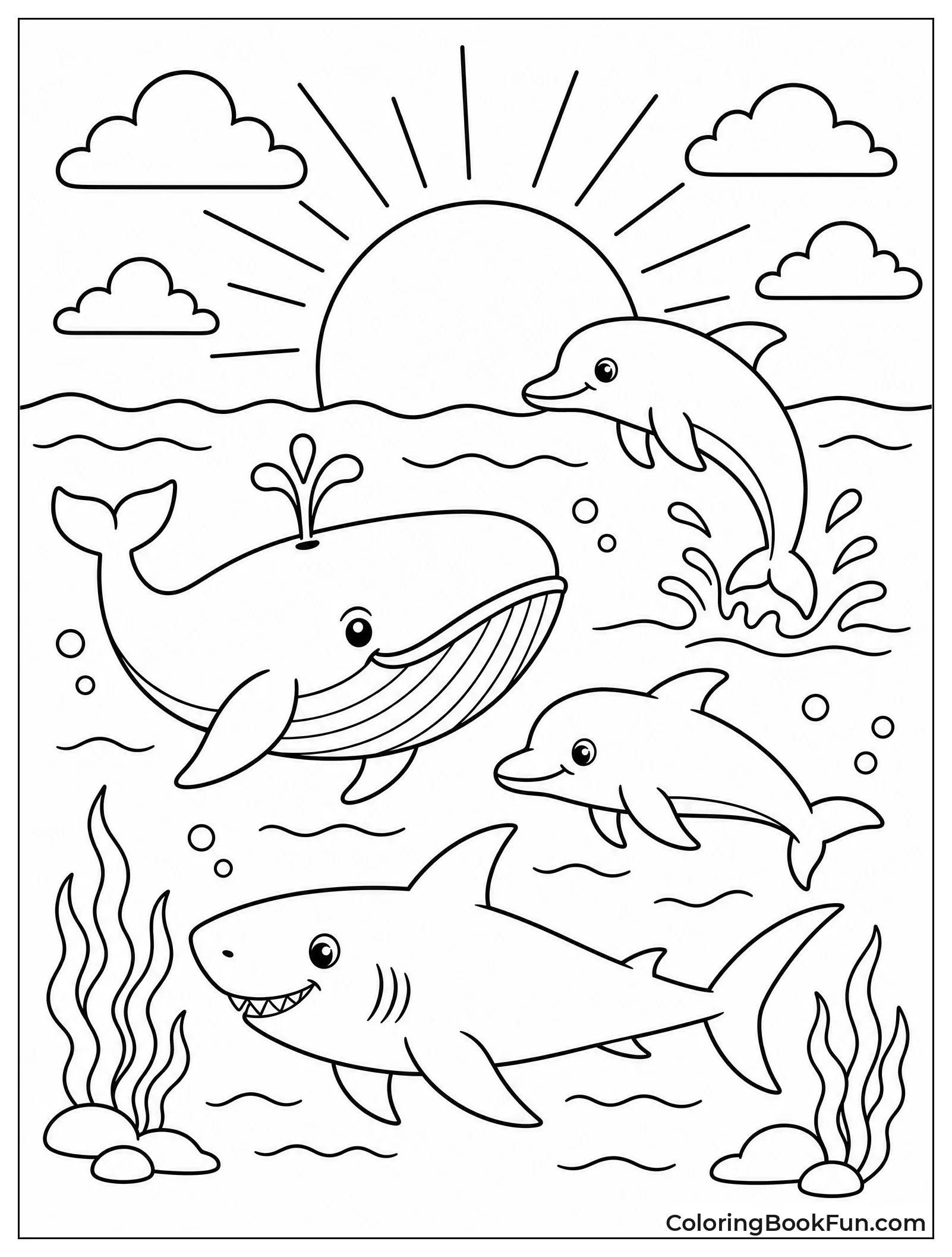 Sea Creatures in Sunset Silhouette