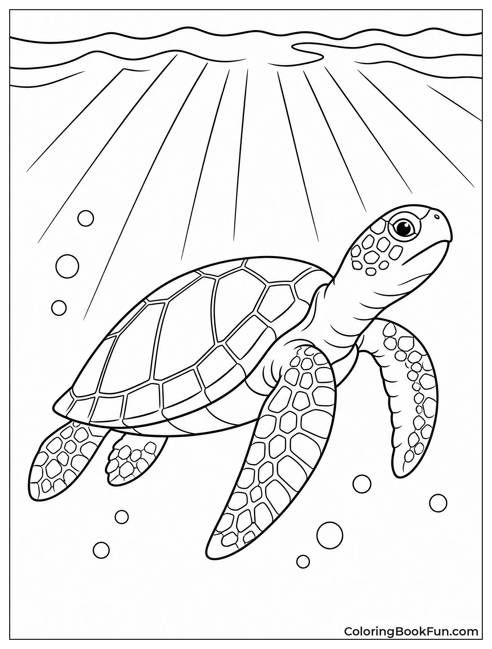 Sea Turtle Swimming in Sunlight