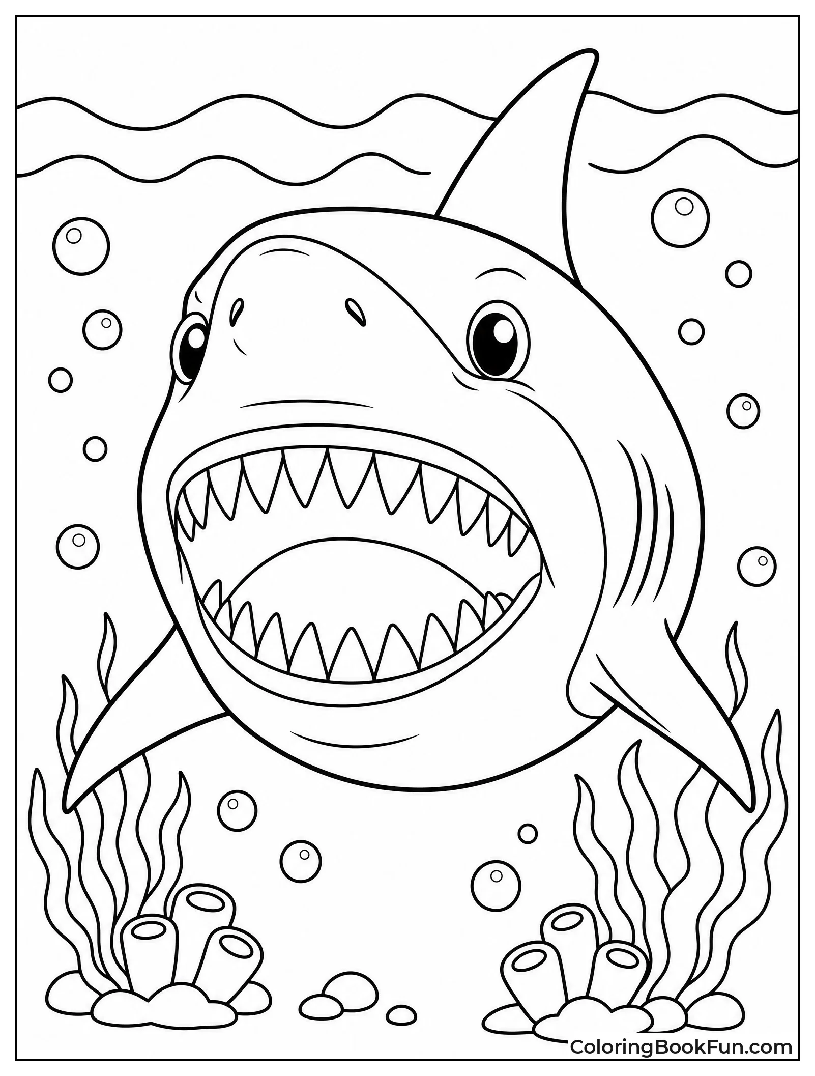 Great White Shark Showing Teeth