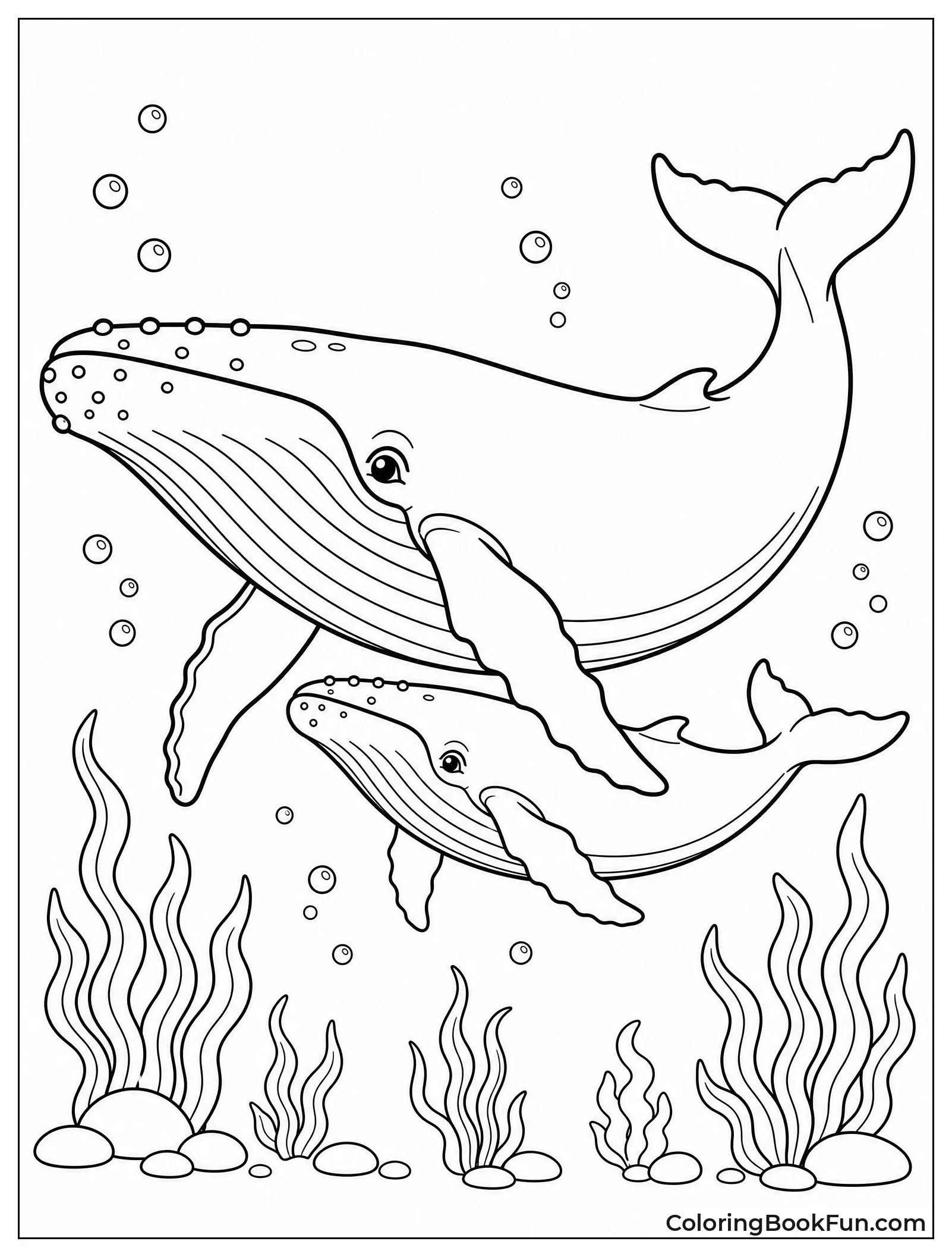 Mother Whale with Her Calf