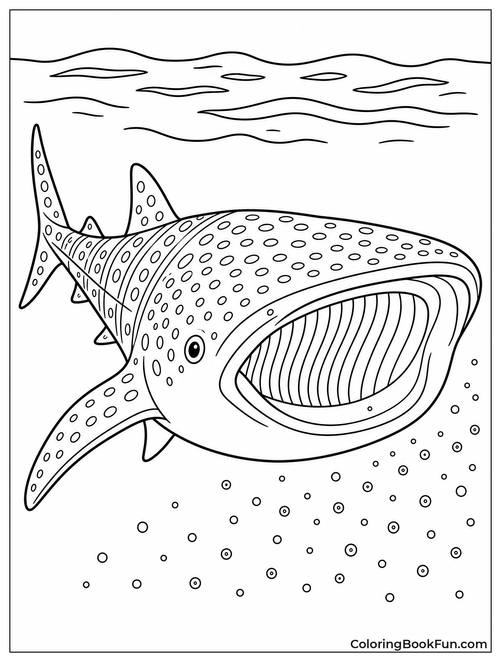 Whale Shark Eating Plankton