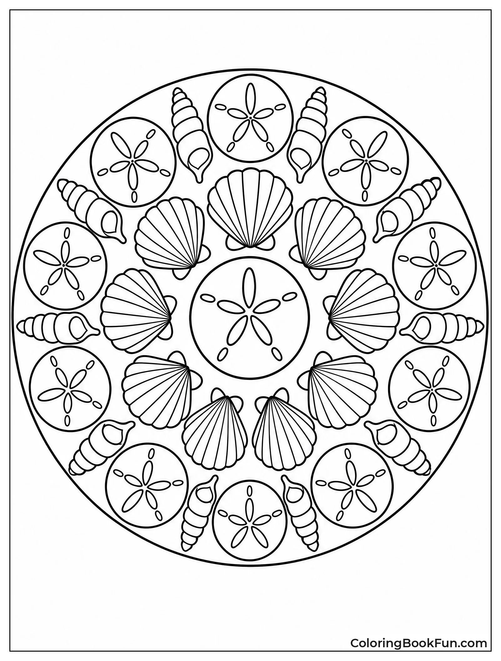 Mandala Made from Symmetrical Shells
