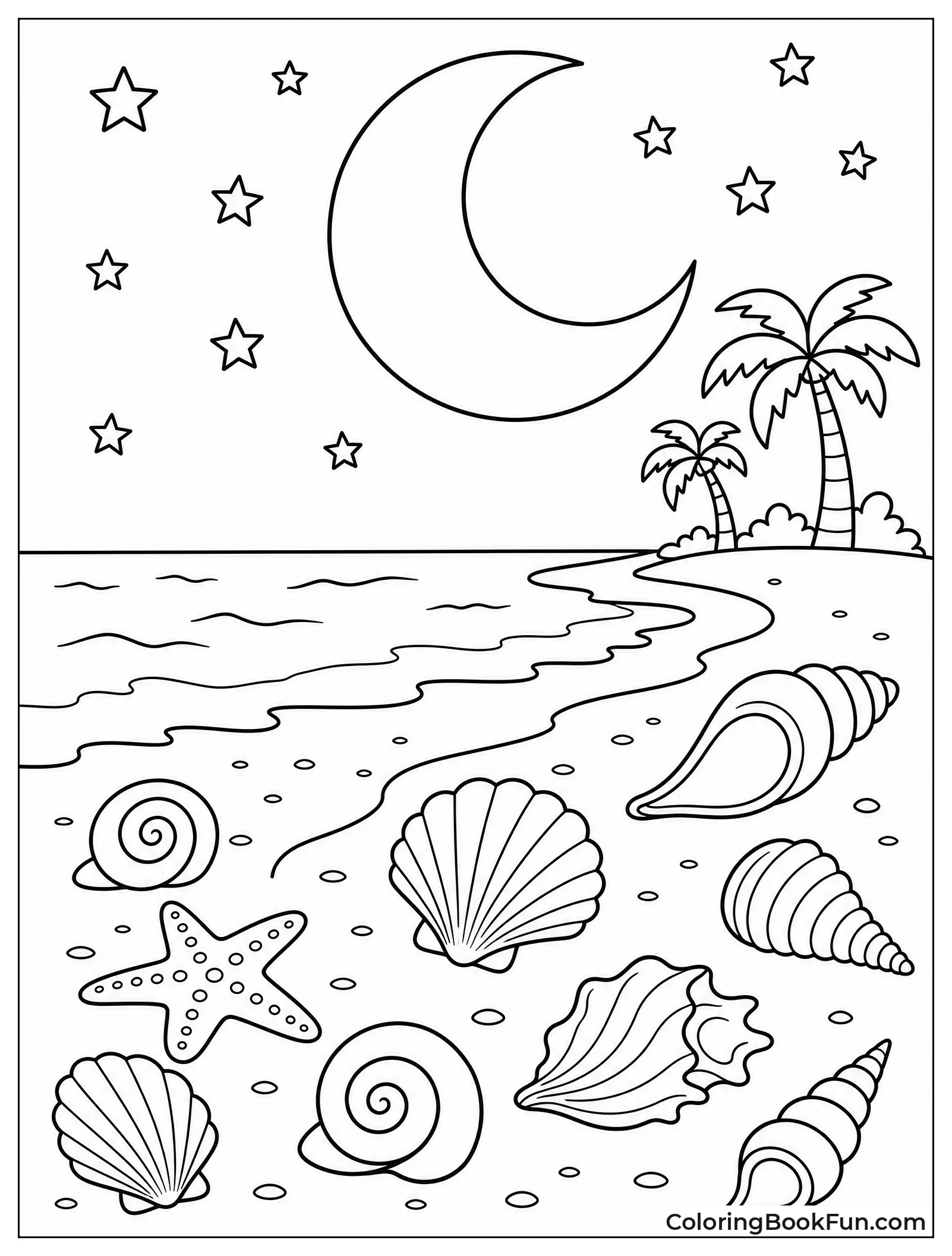 Shells on Moonlit Sandy Beach