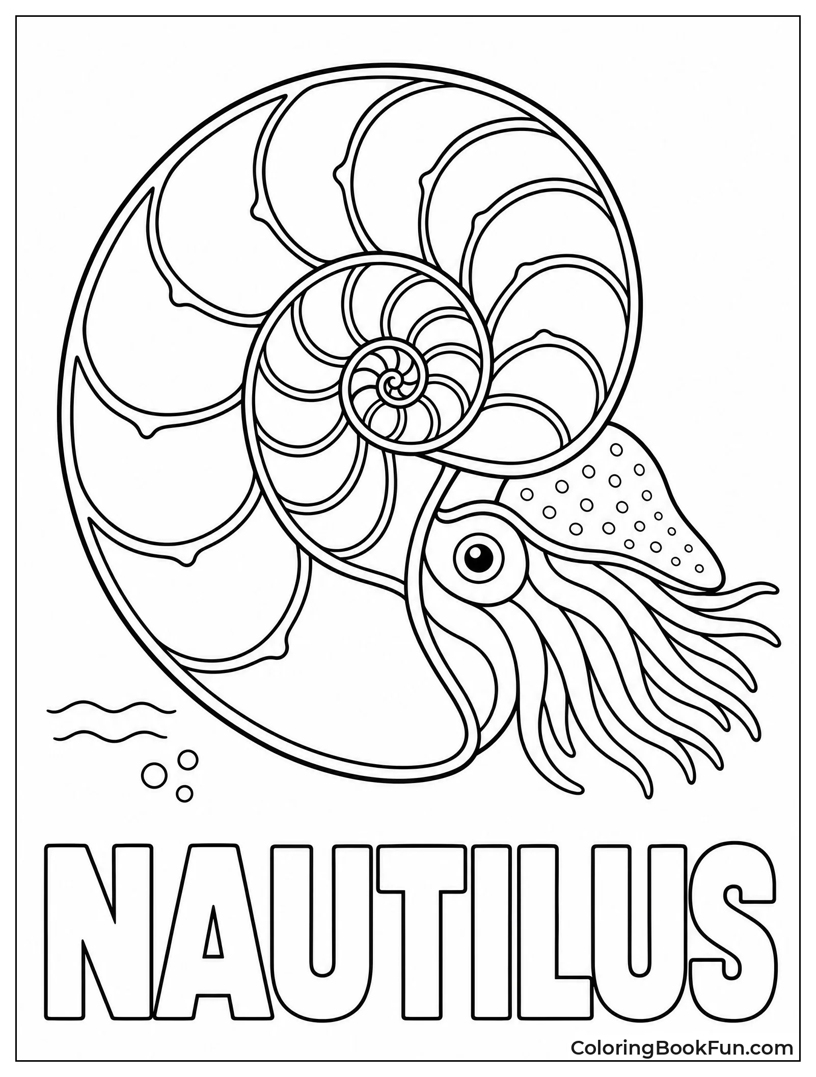 Nautilus Cut Open to Show Spirals