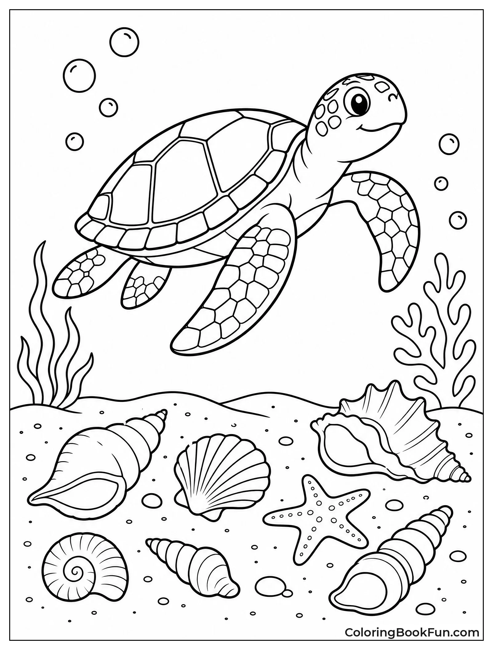 Sea Turtle Swimming over Shells