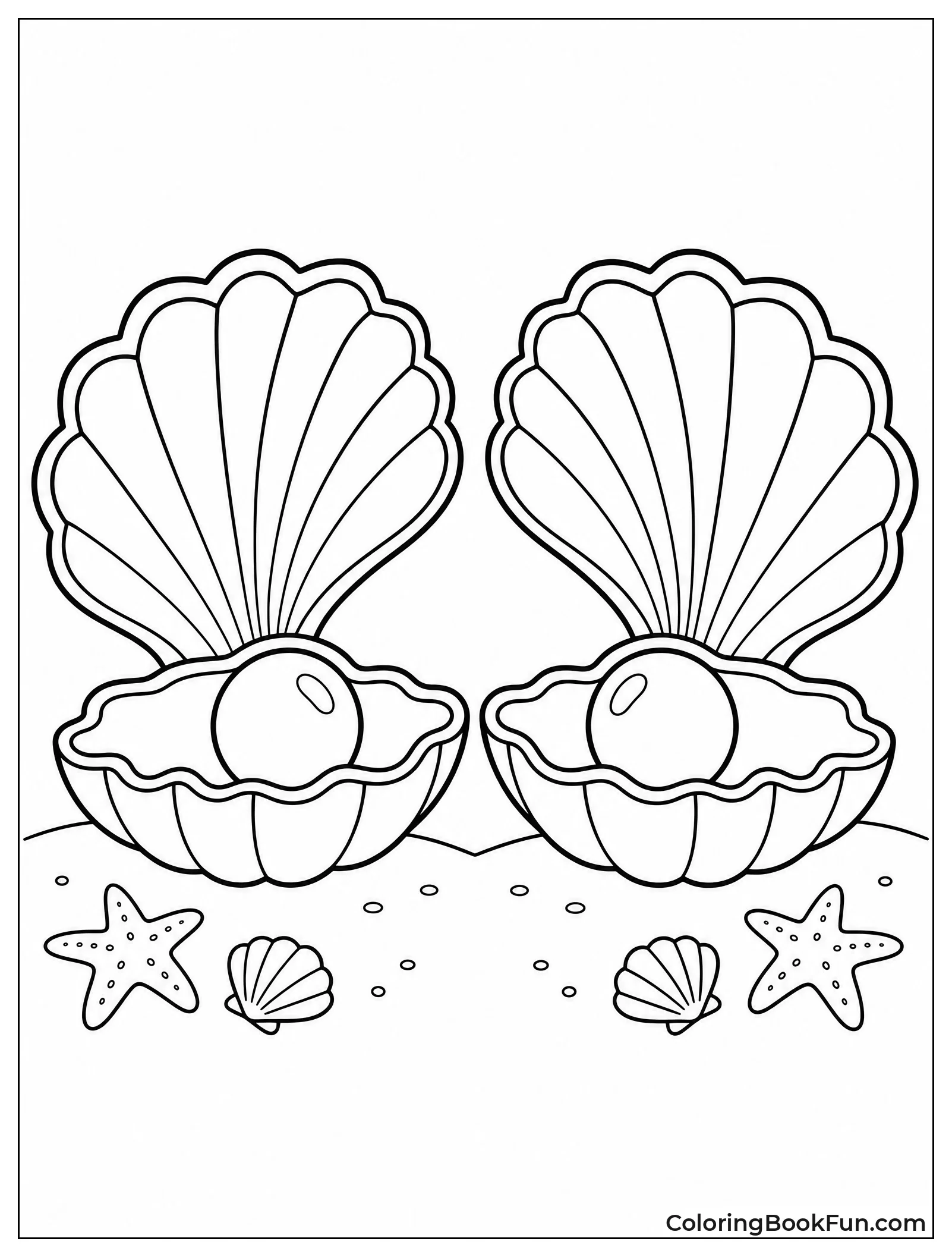 Two Matching Open Clam Shells