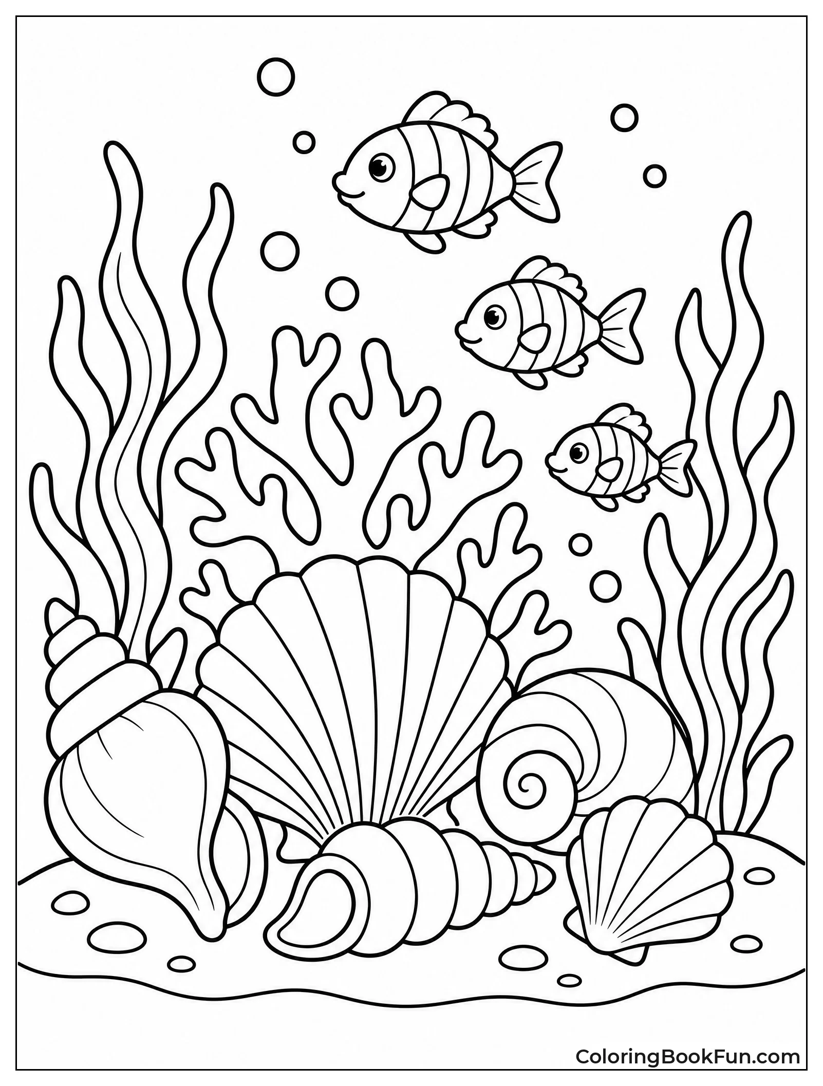 Shells among Coral and Seaweed
