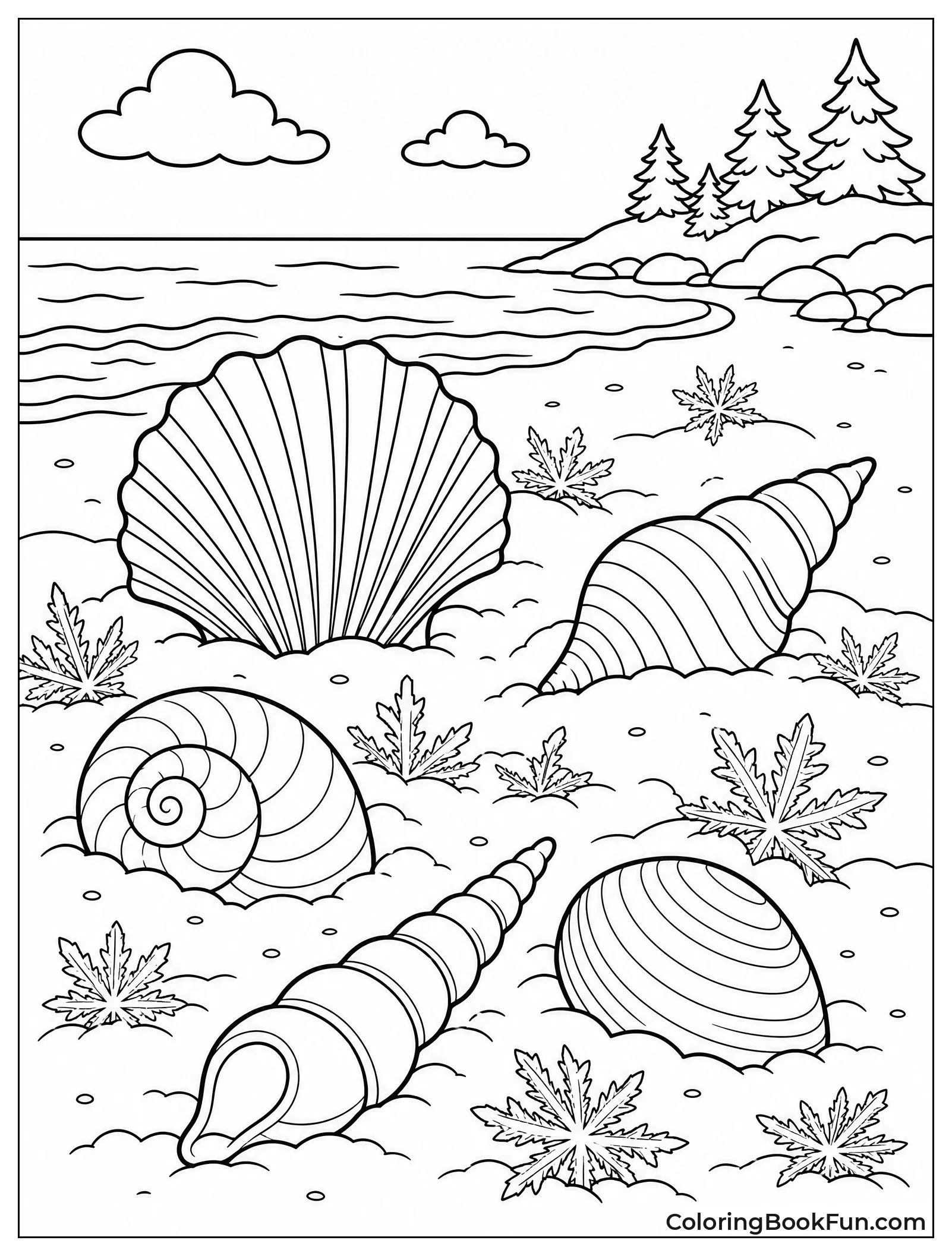 Frosted Shells on Icy Sand
