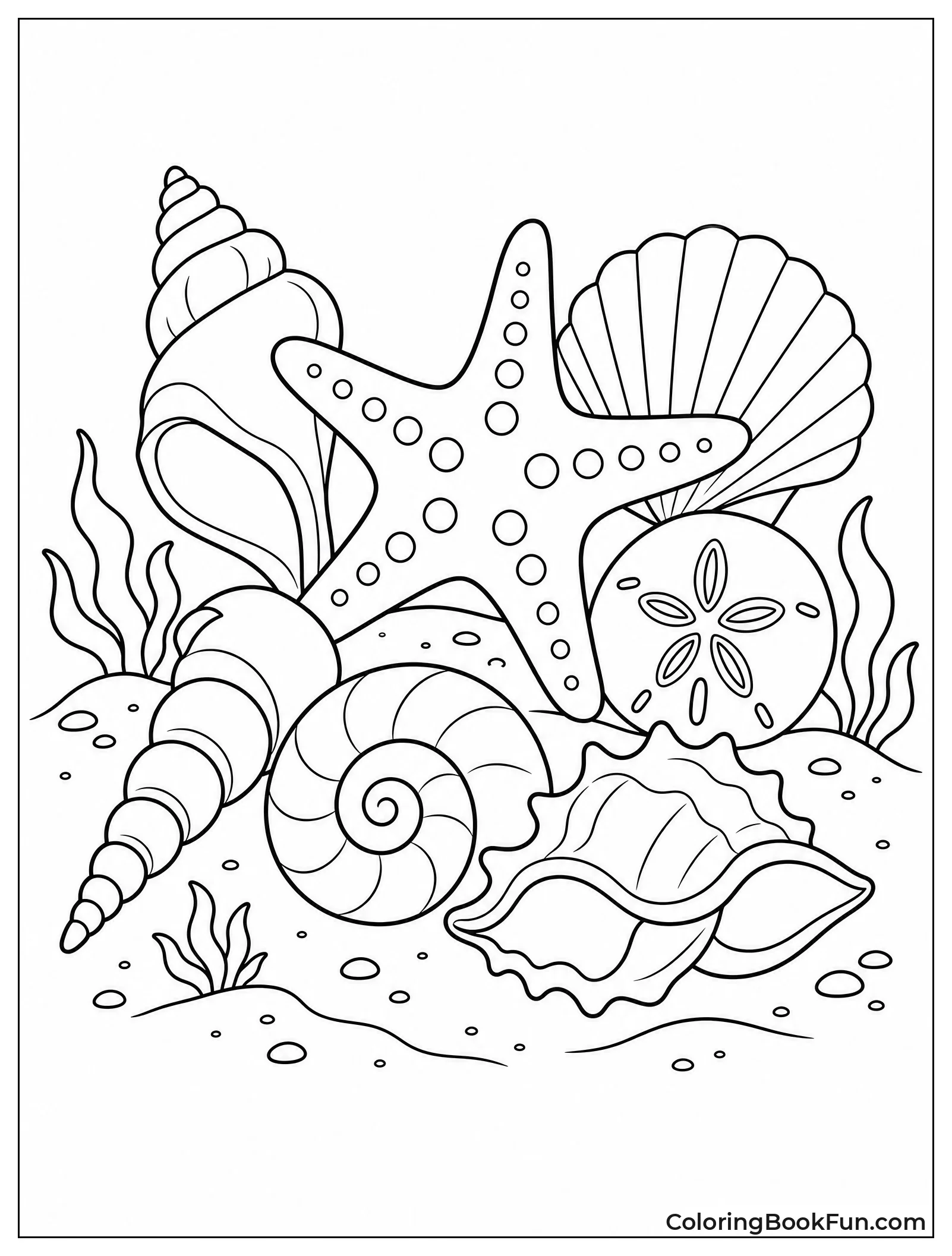 Seashells and Starfish on Shore