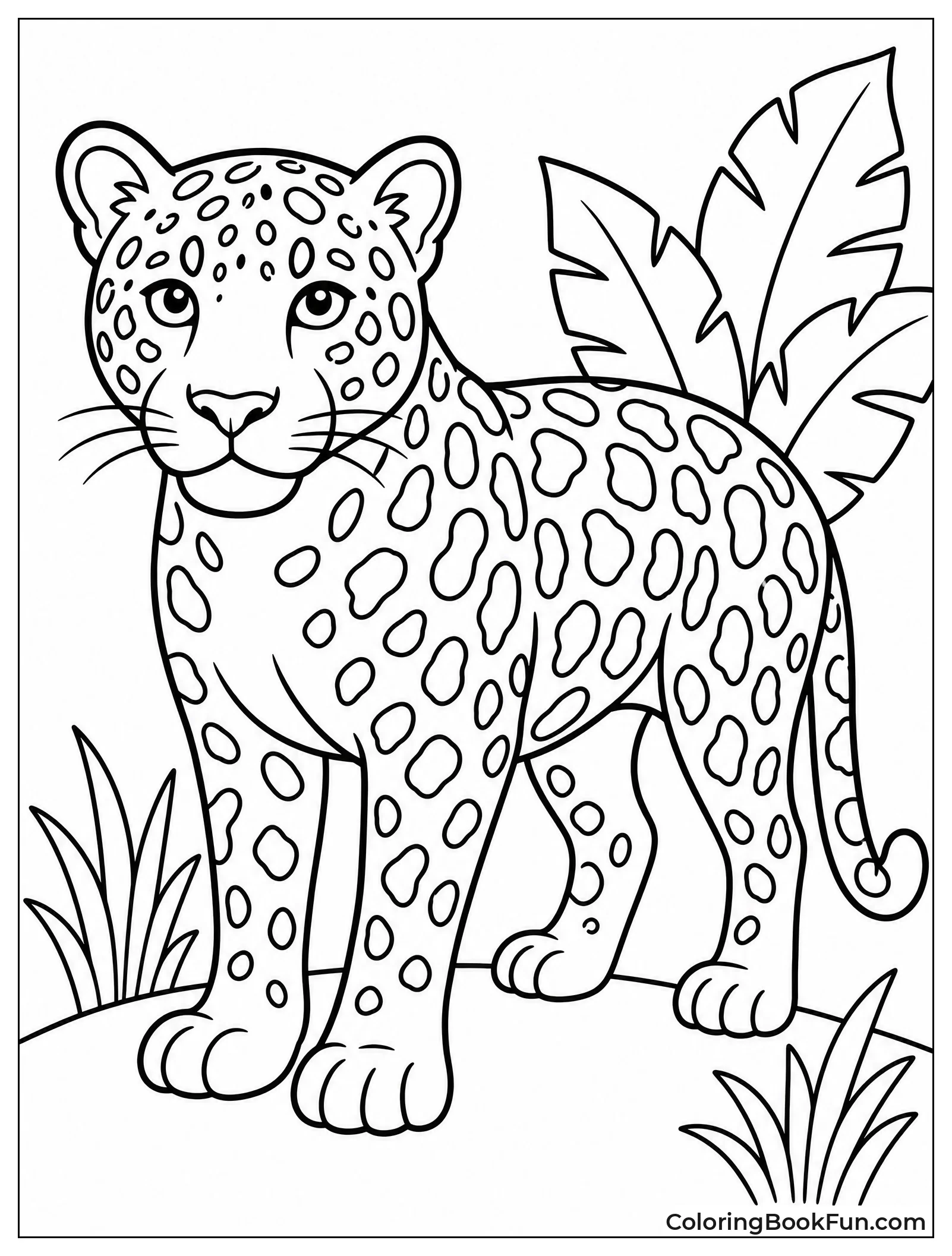 Simple Jaguar for Easy Coloring
