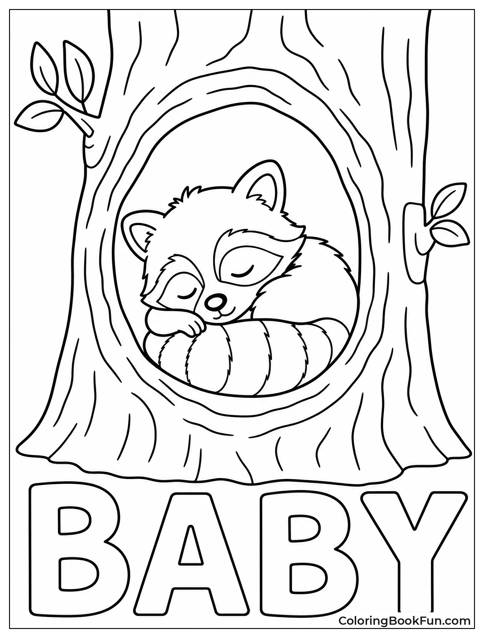 Sleeping Baby Raccoon in Hollow