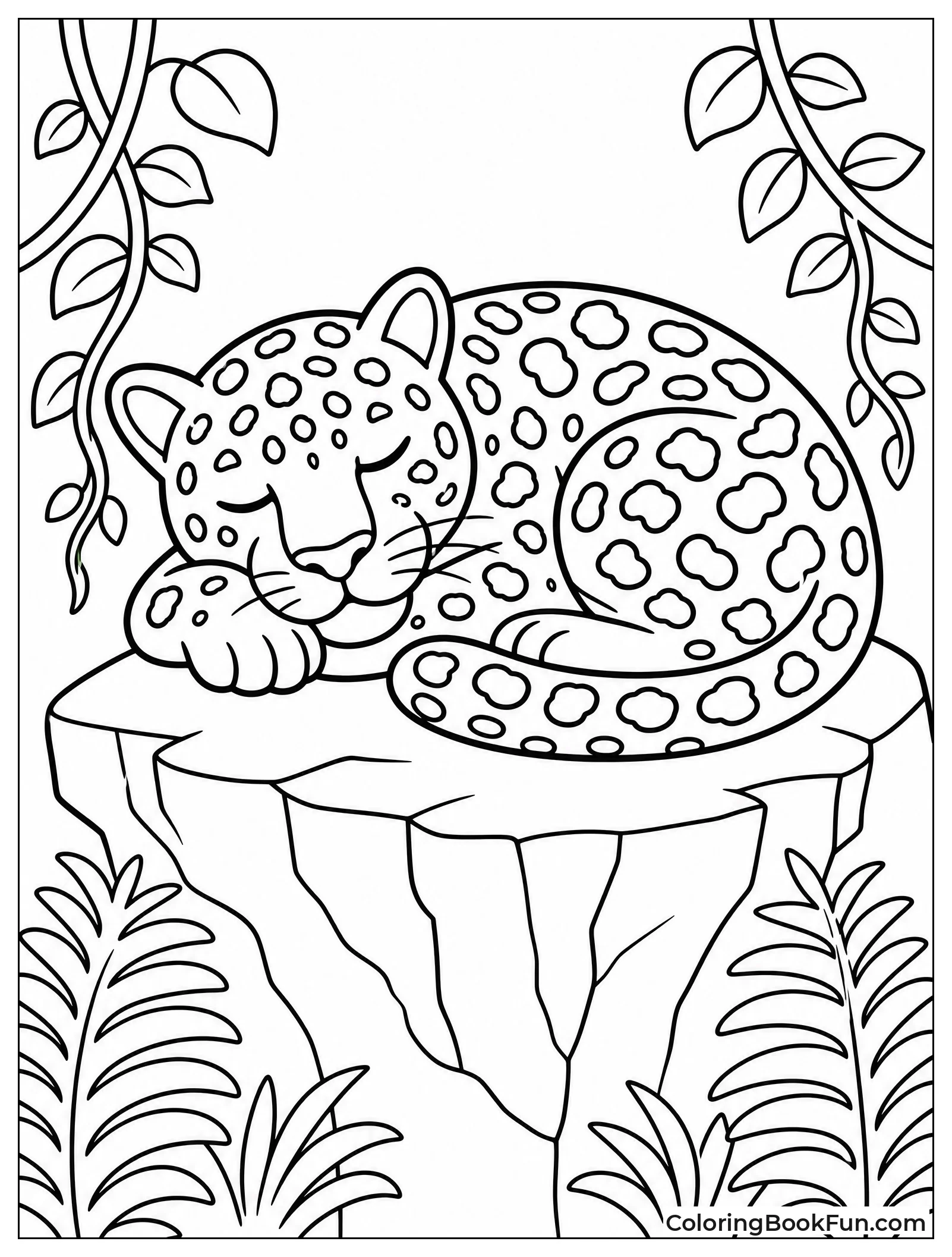Jaguar Curled Up and Sleeping
