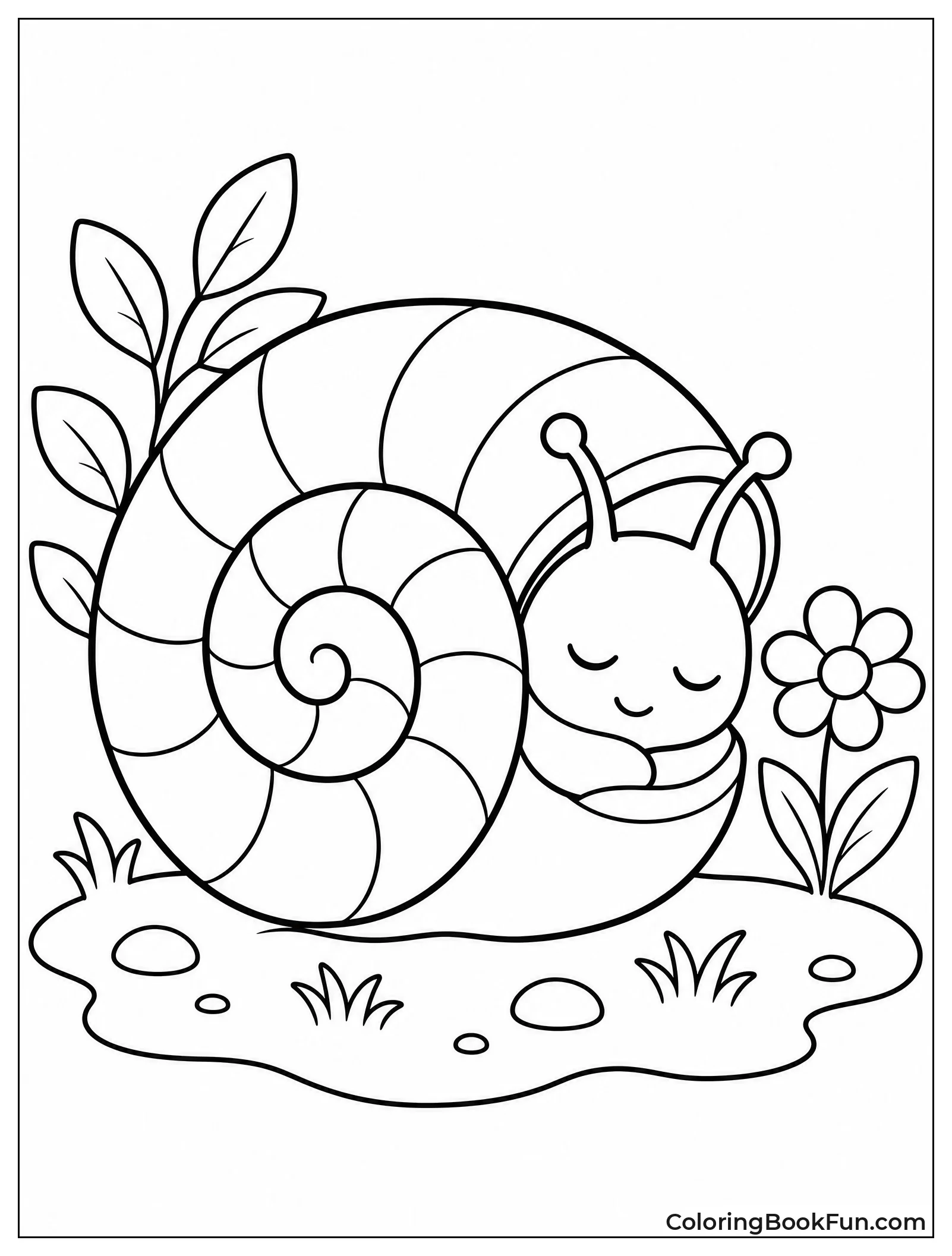Sleeping Snail Tucked In Shell