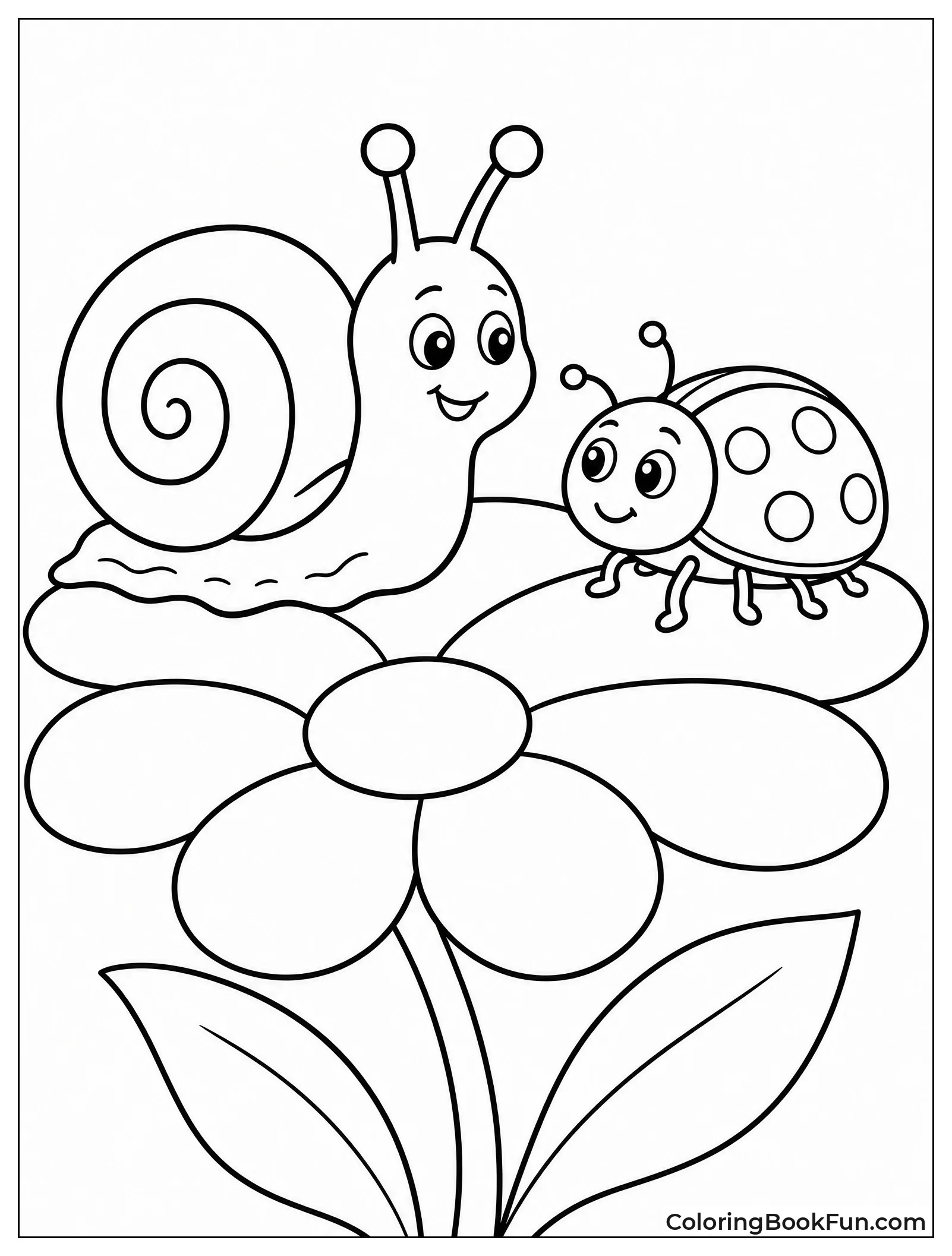 Snail Meets Ladybug On Petal
