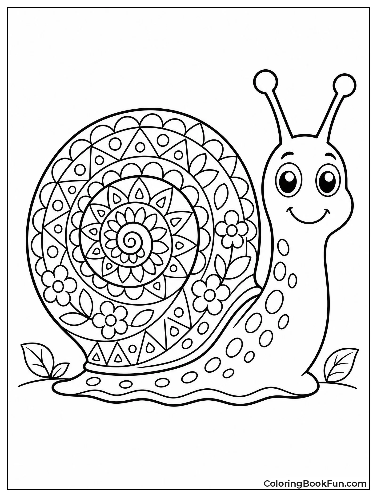 Snail Shows Detailed Shell Patterns