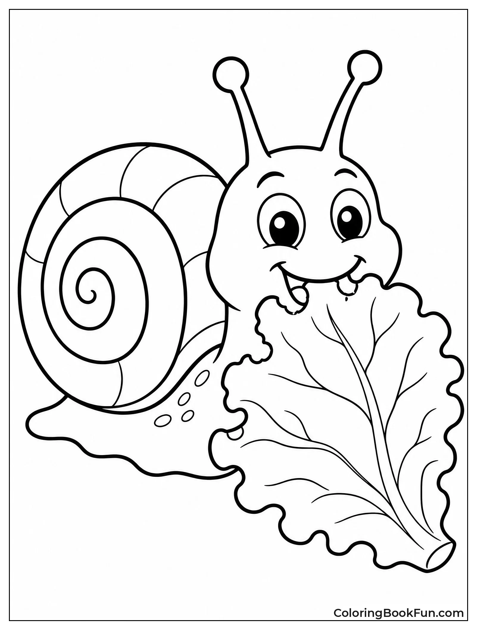 Snail Eats Crisp Green Lettuce