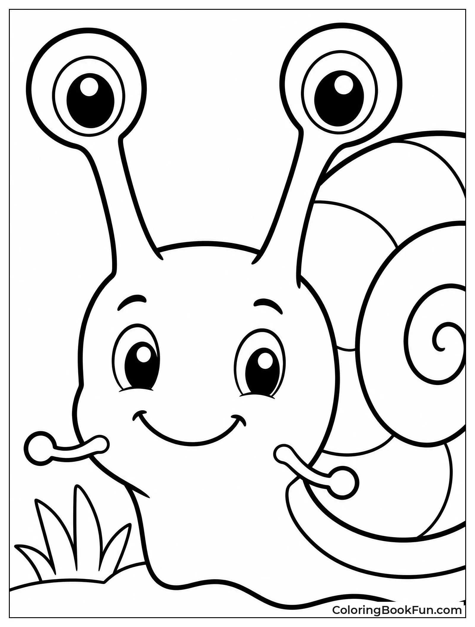 Close Up Snail Face View