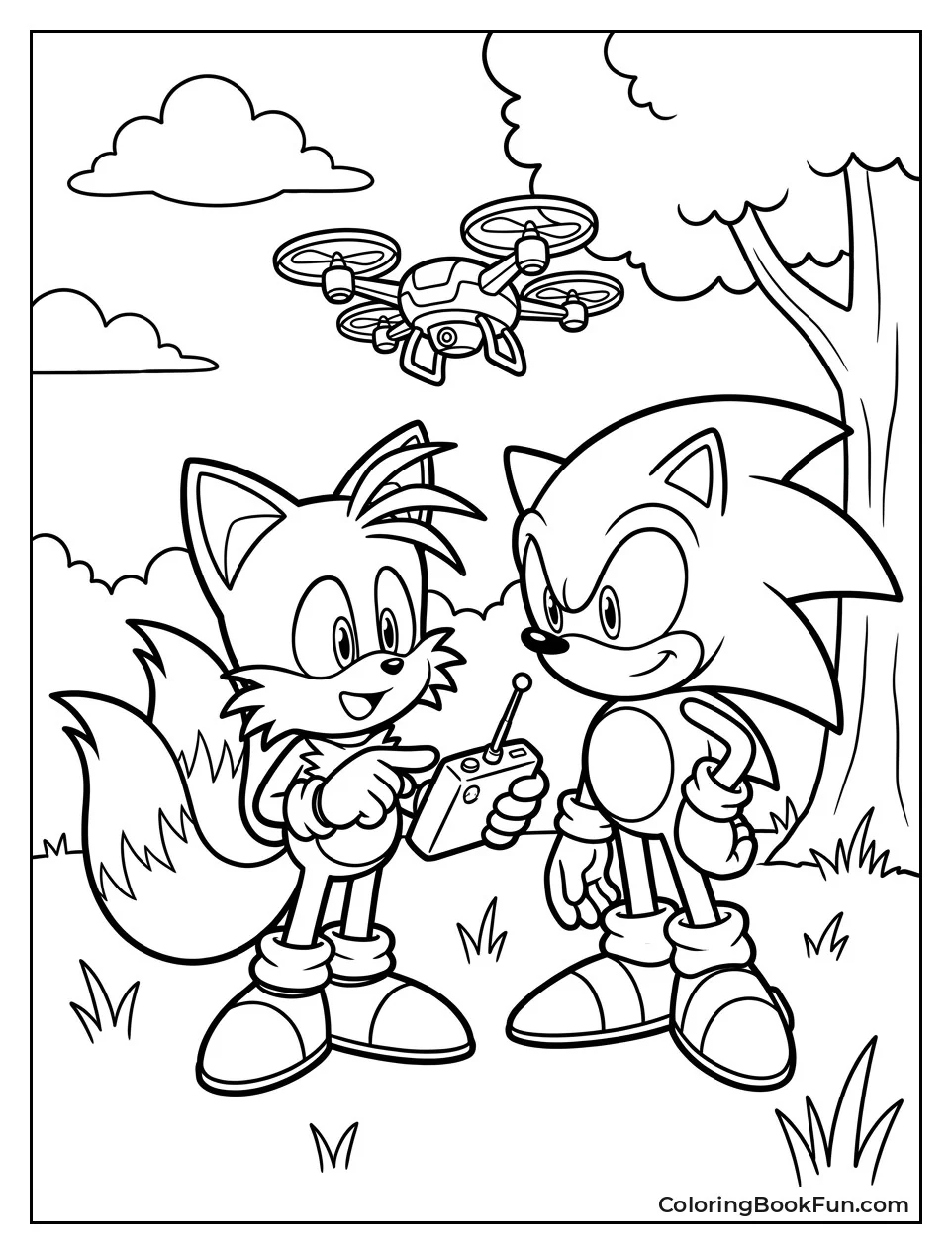 Tails Teaches Sonic Drone Flying