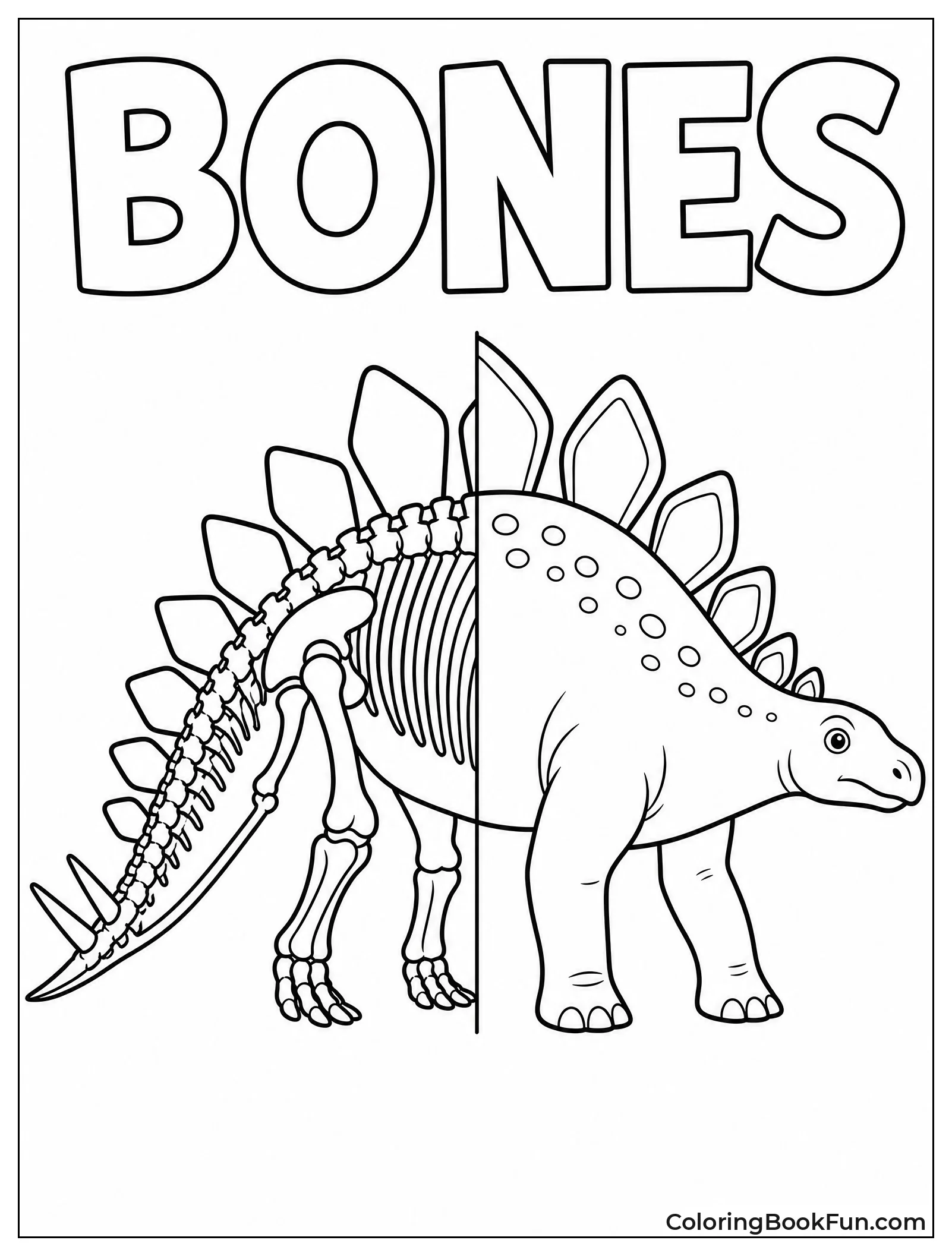 Stegosaurus Skeleton Next to Body