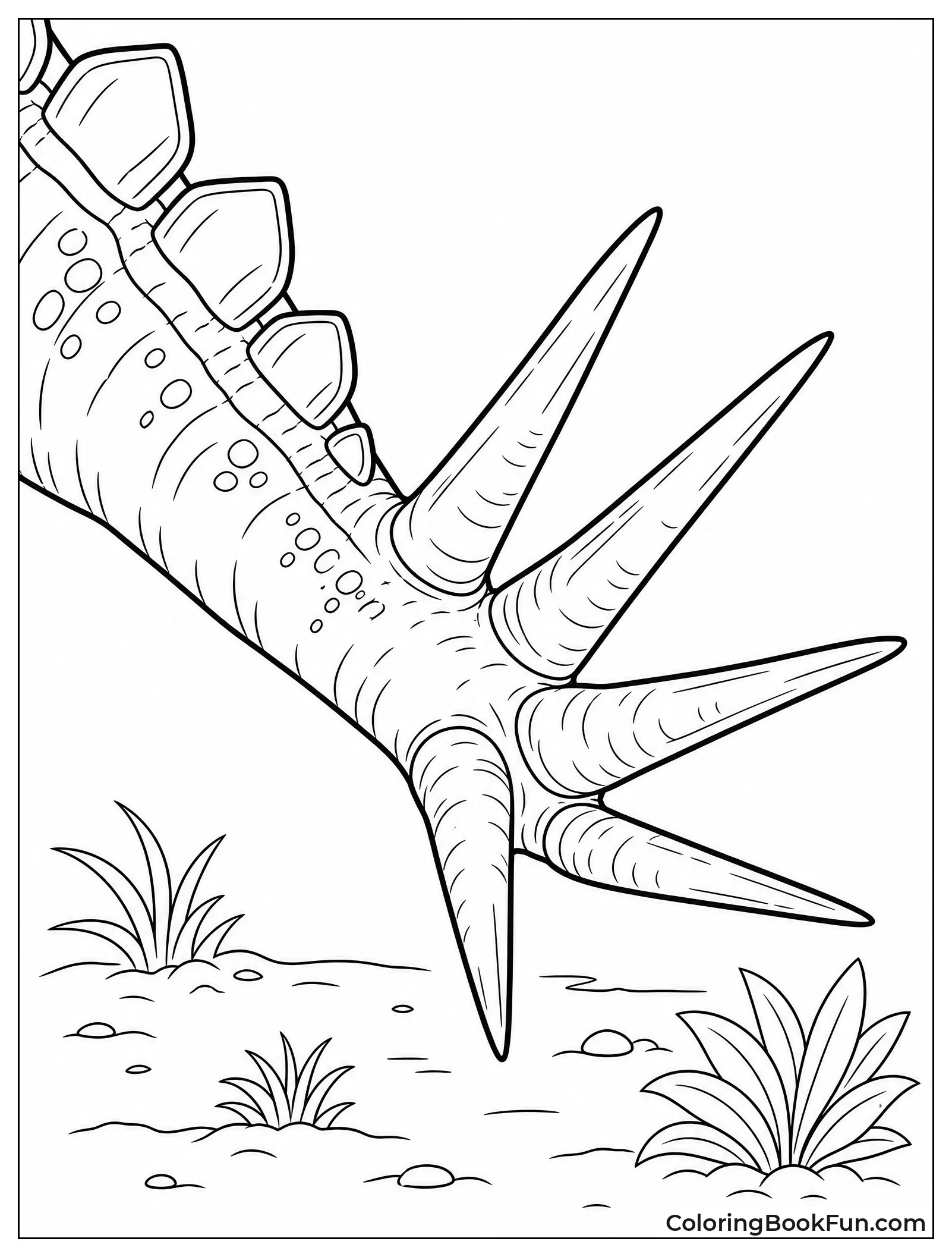 Close Up of Sharp Tail Spikes