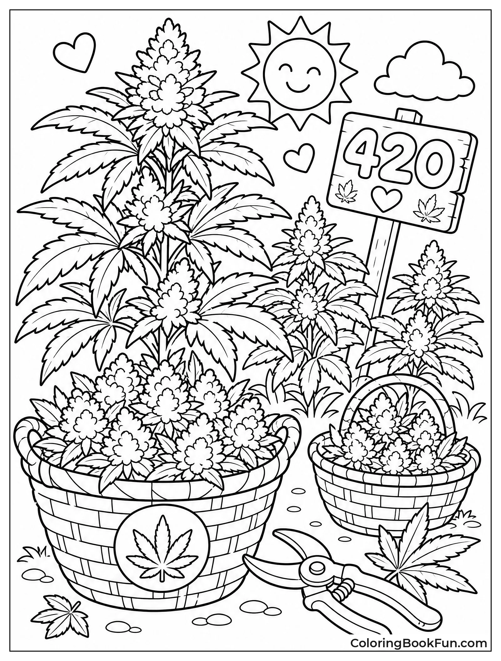Harvesting Buds in Baskets