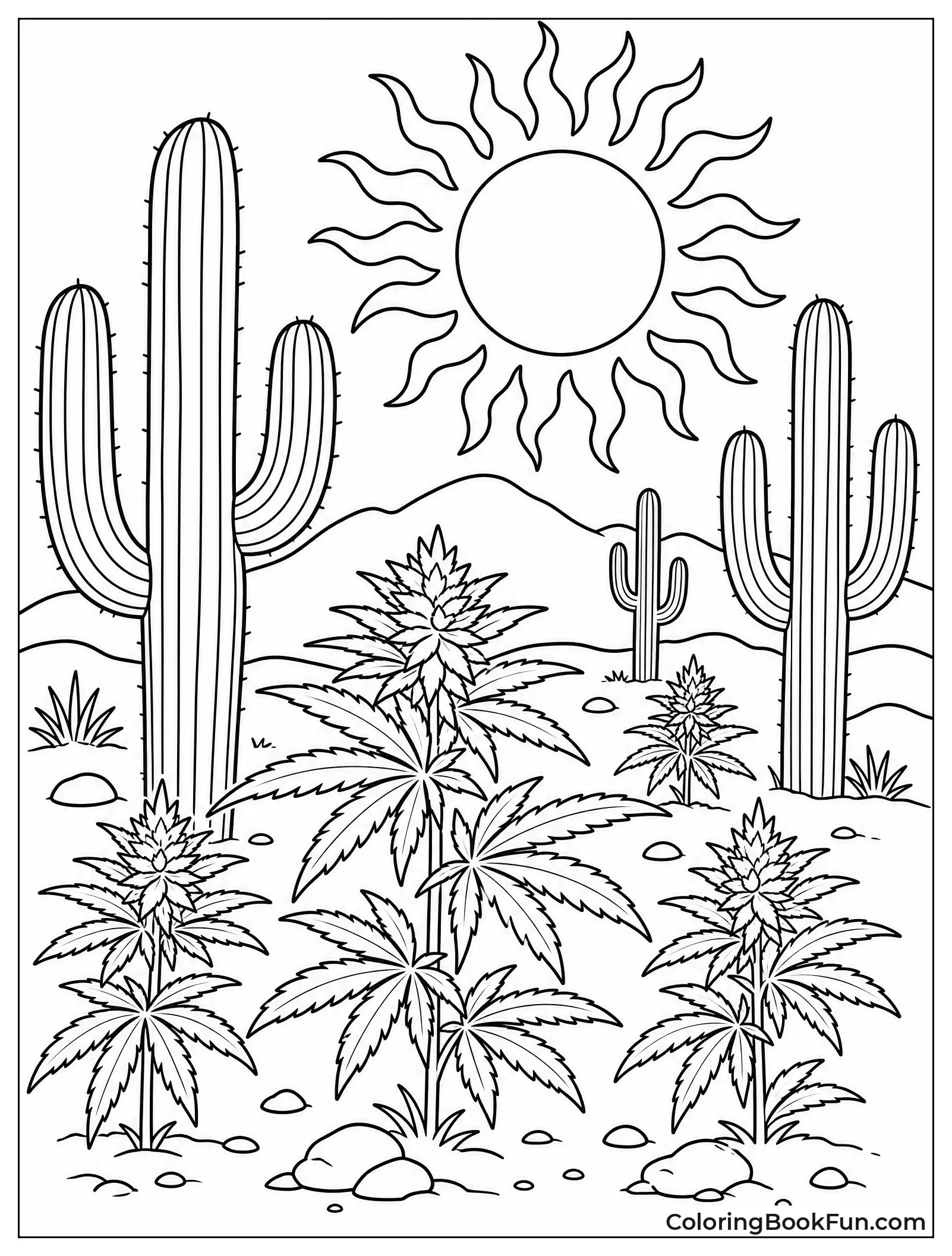 Cactus Next to Cannabis Plant