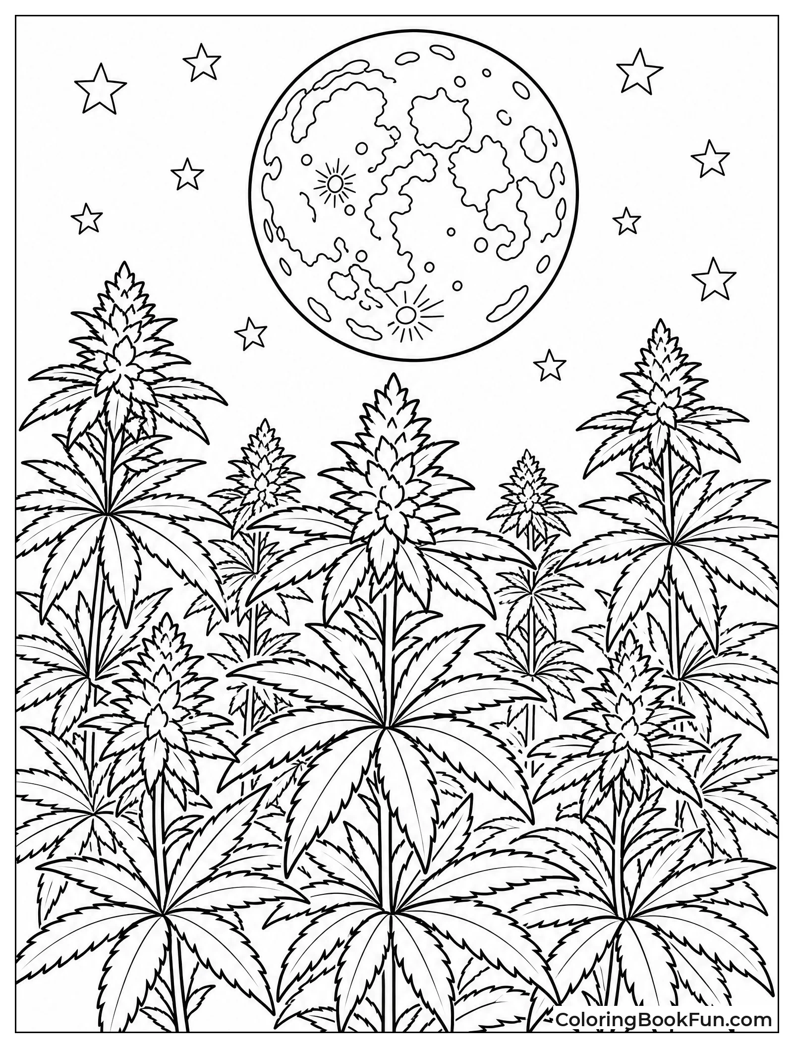 Plants under Bright Moon