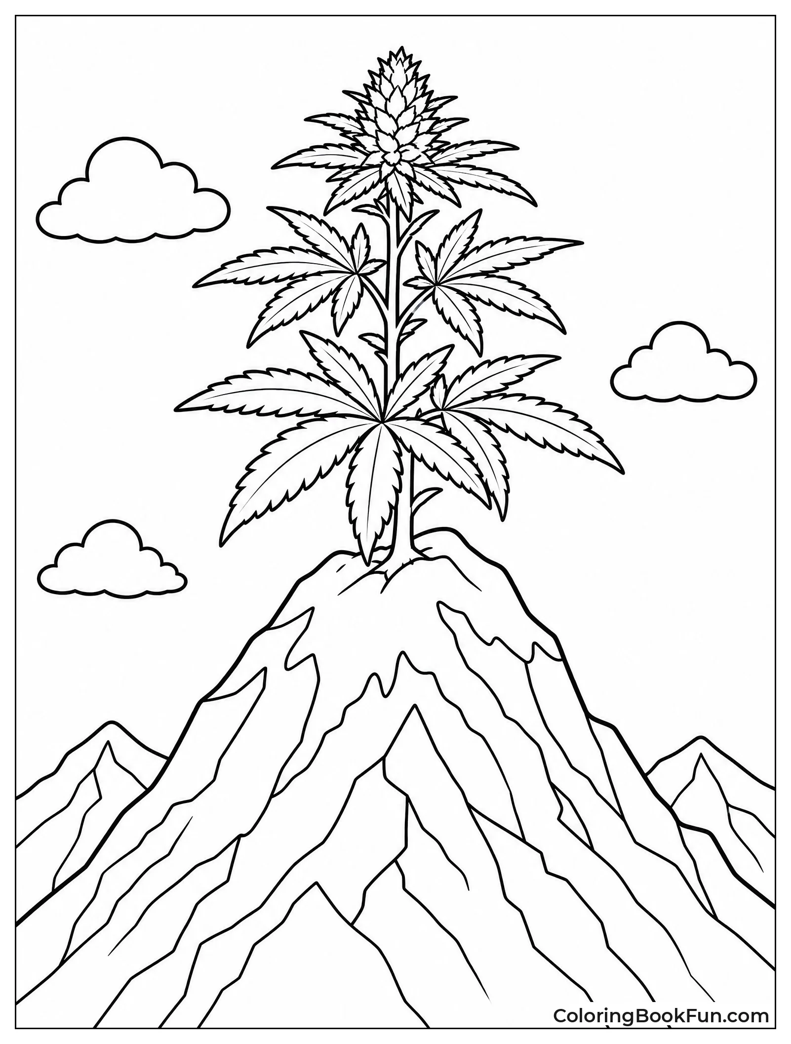 Plant at Snowy Mountain Top