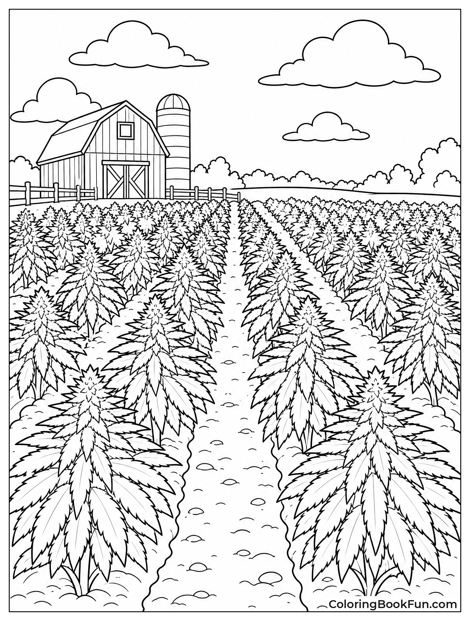 Rows of Plants on Farm