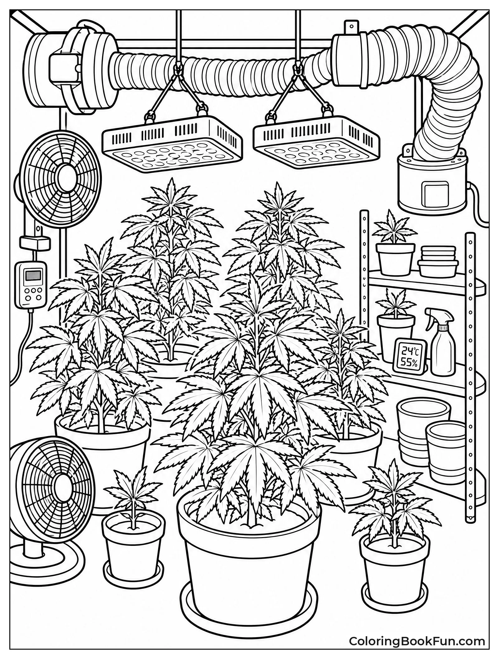 Plants under Grow Lights