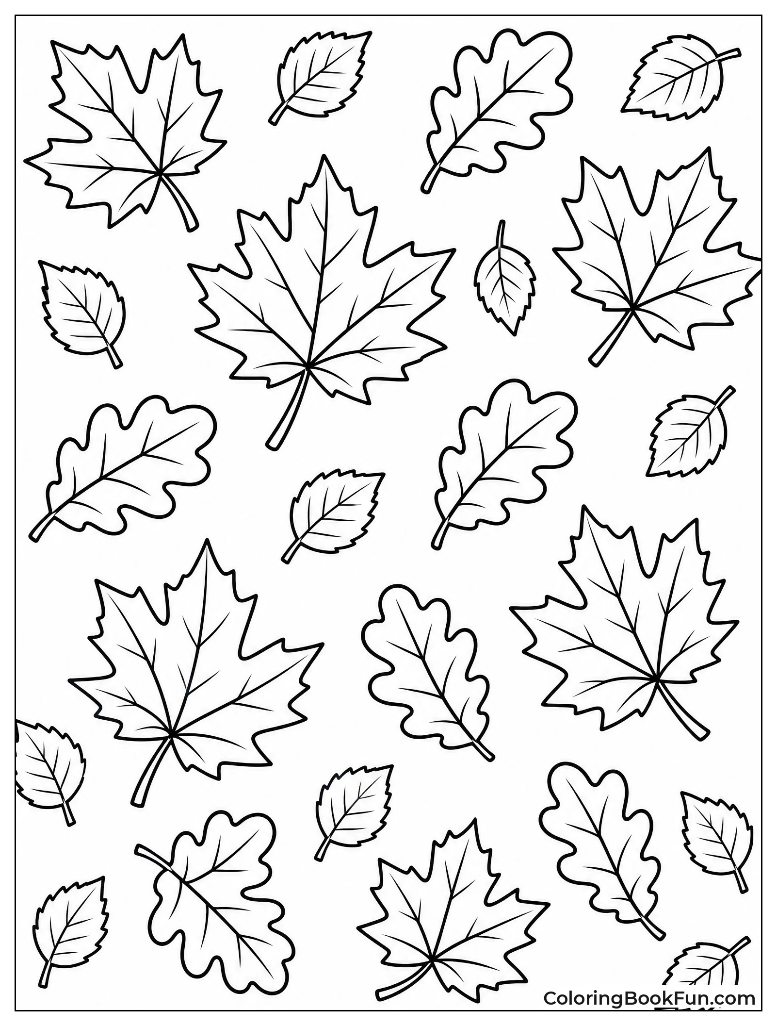 Leaves Fall at Different Angles