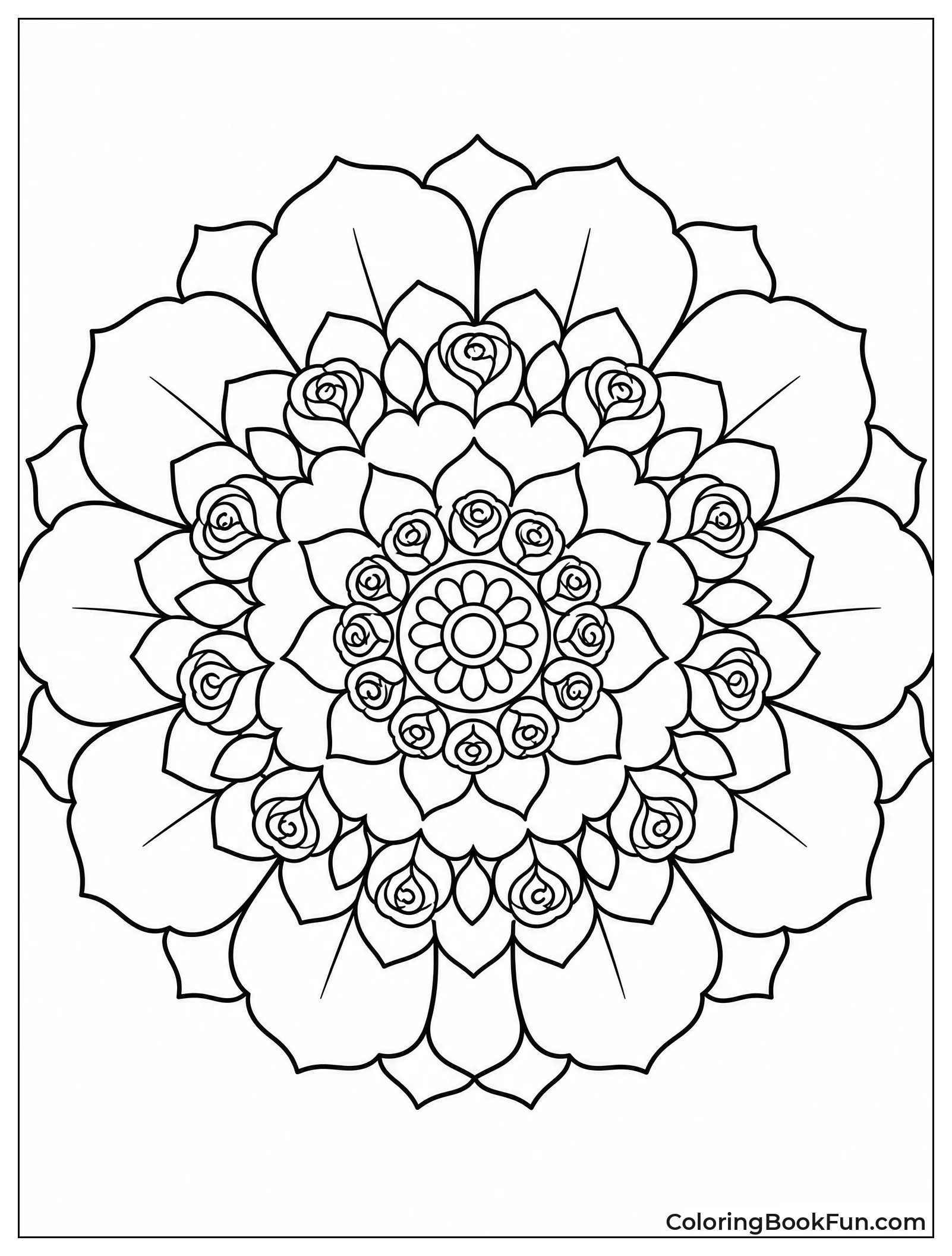 Rose Petals Bloom in Layers