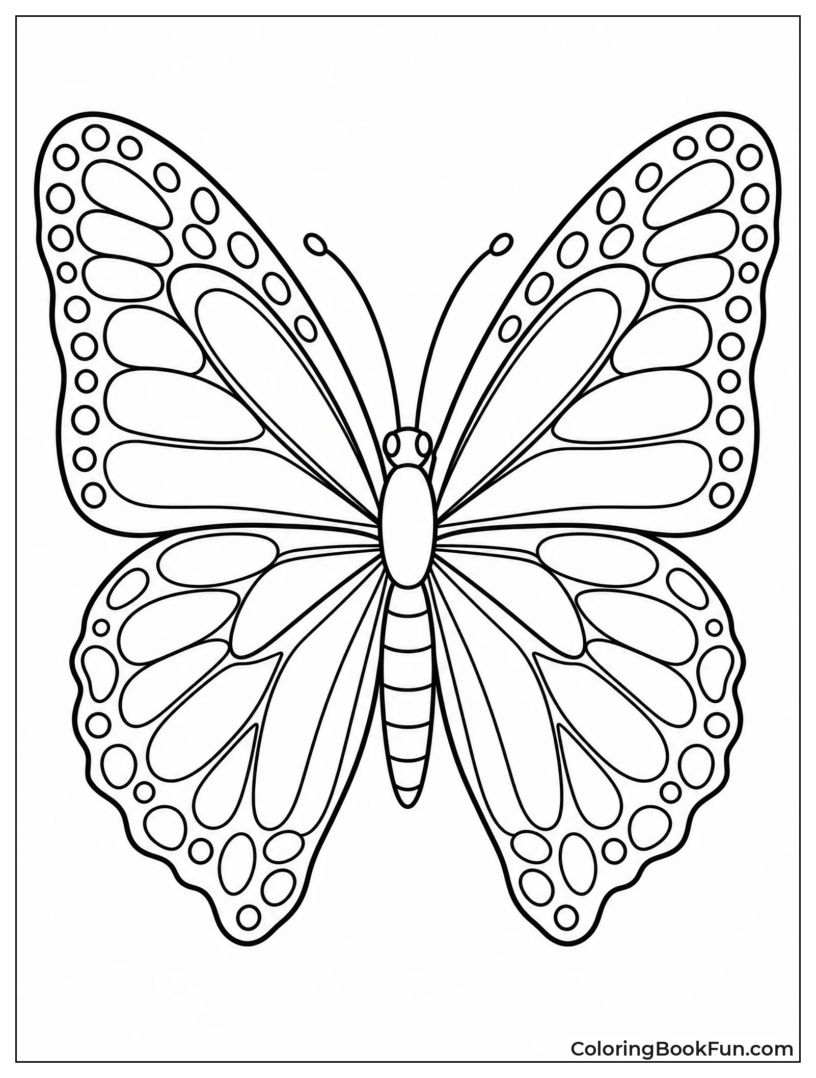 Butterfly Wings Show Mirror Patterns