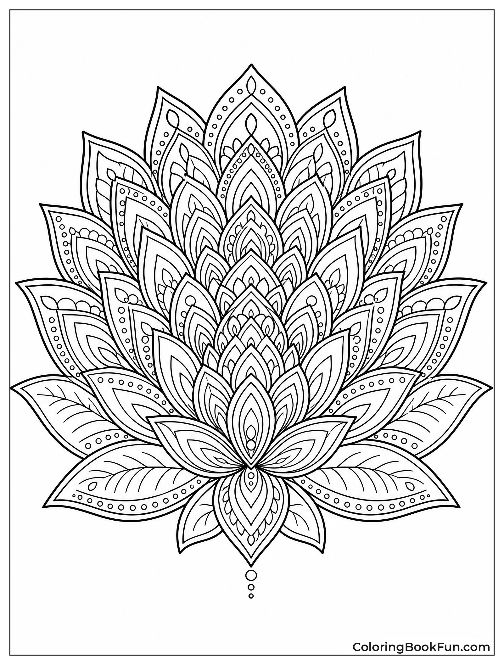 Lotus Petals Form Delicate Rings